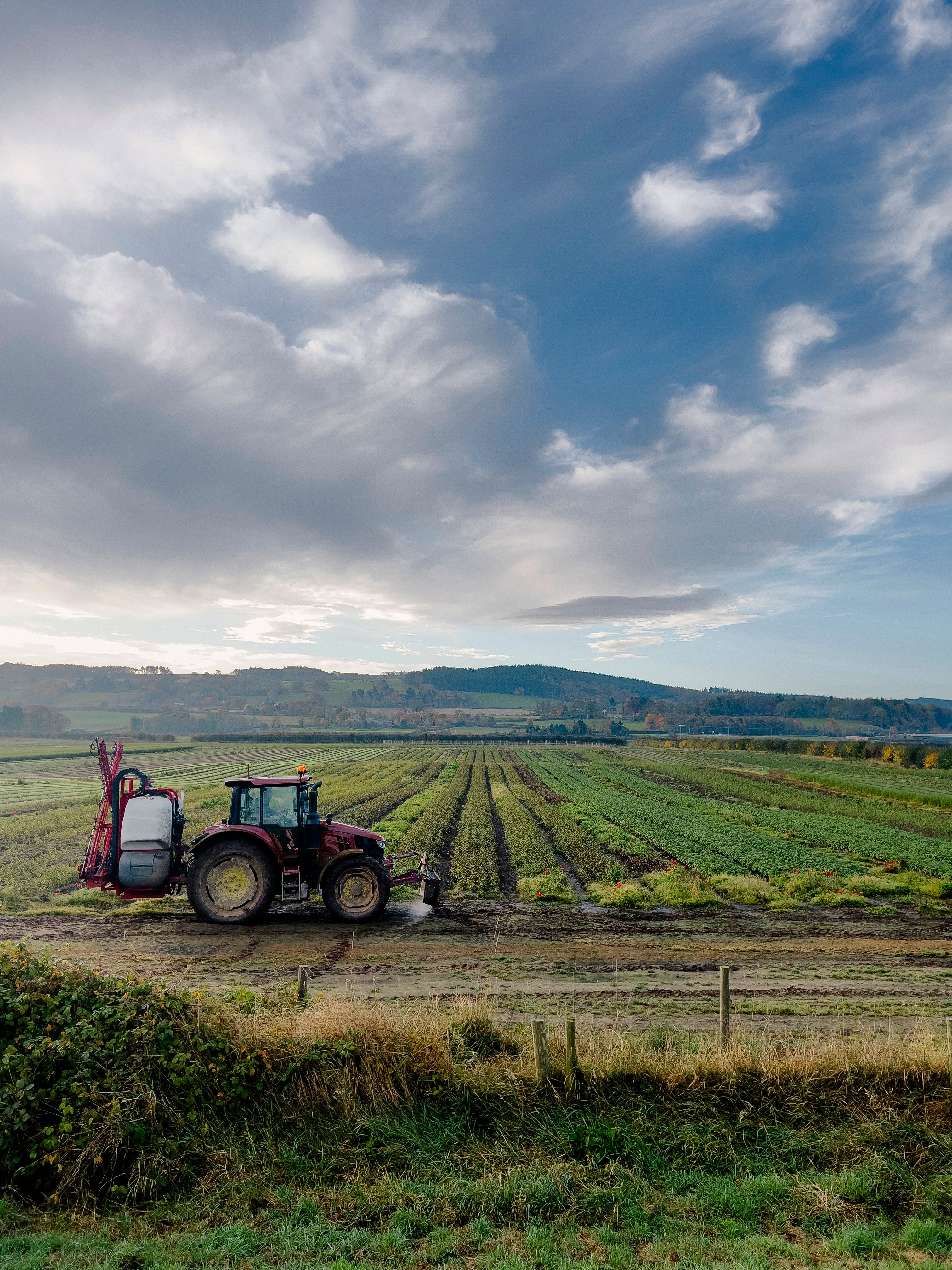 Rural Scene in Northumberland