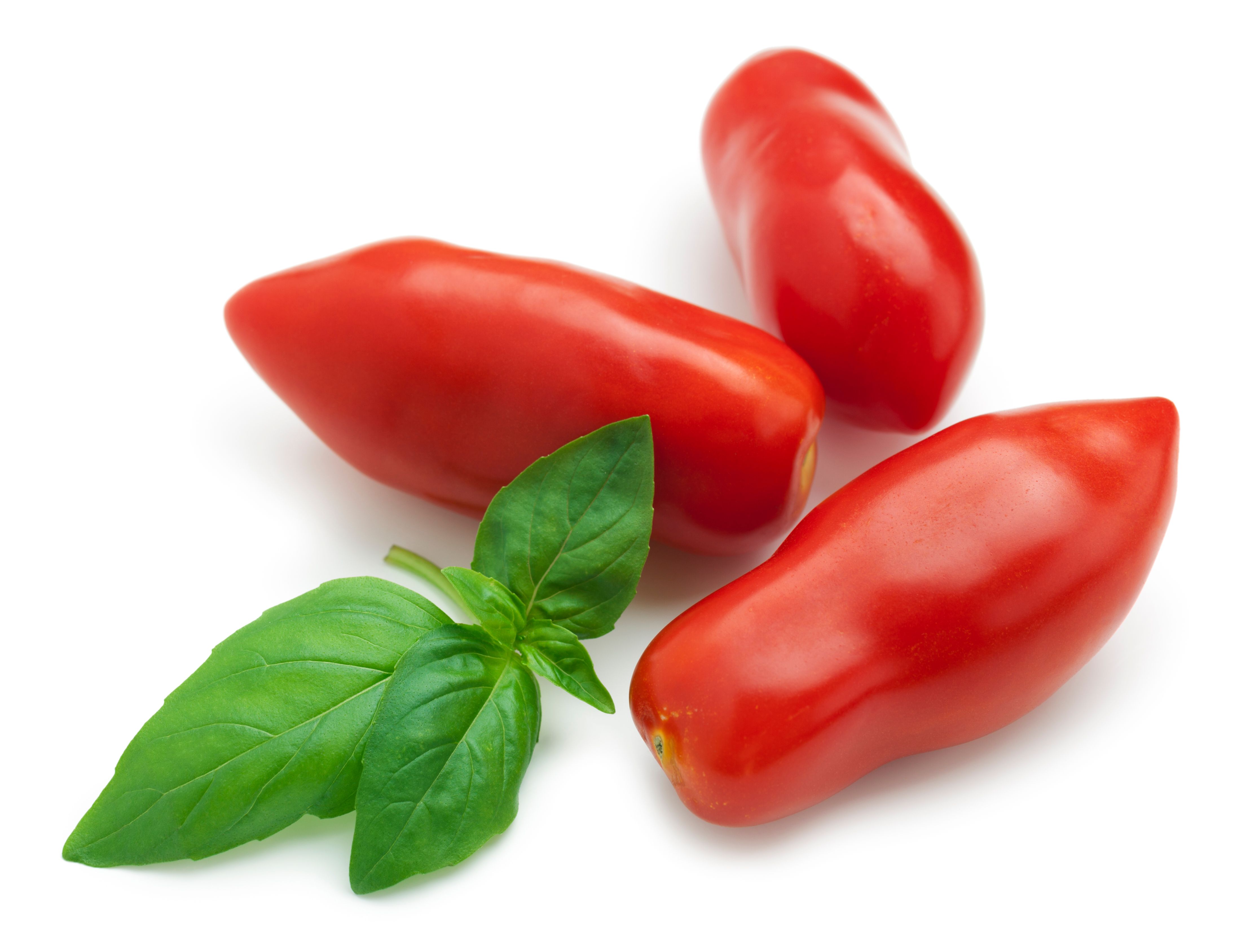 san marzano tomatoes