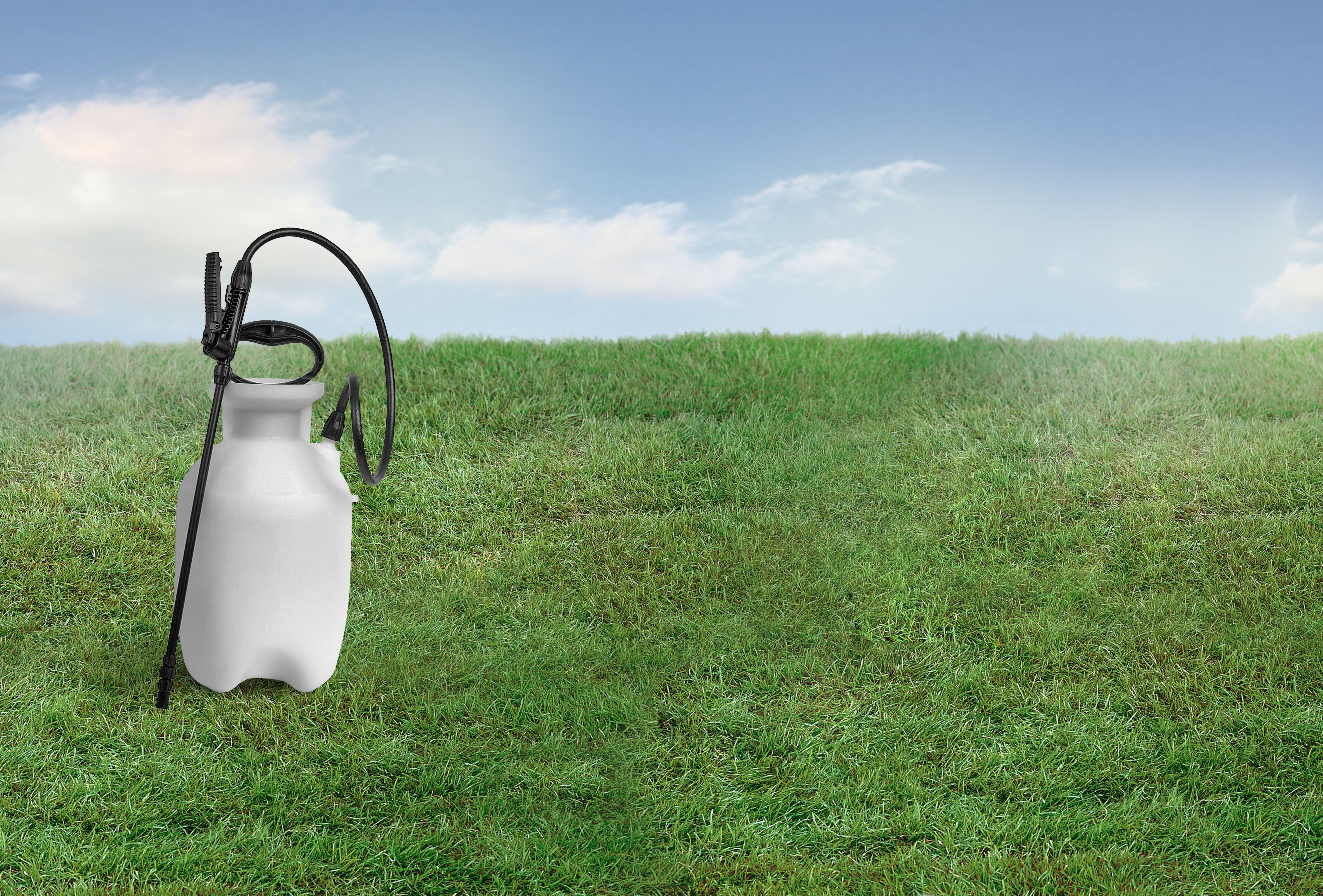 landscaping for pest control