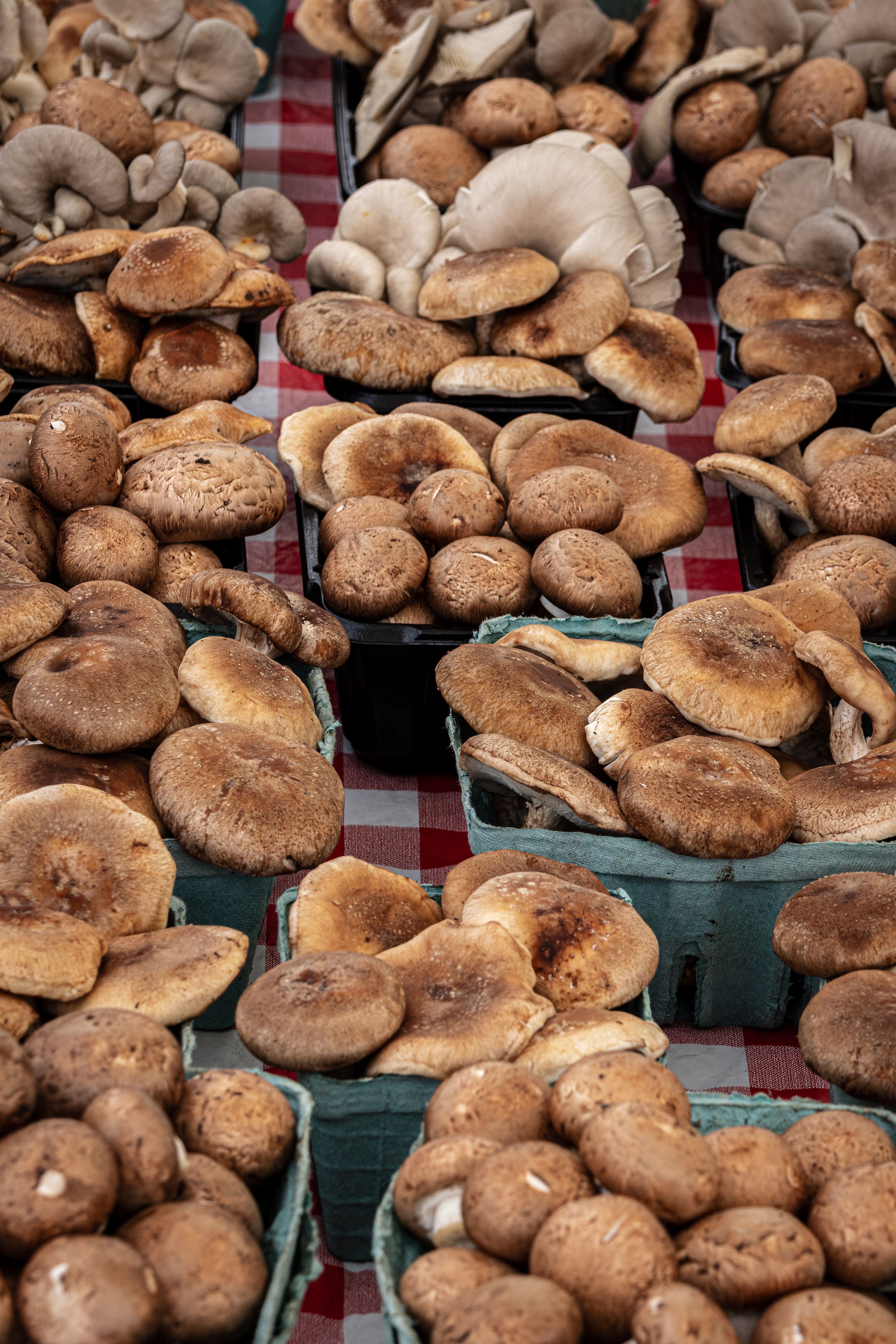 Baskets of assorted varieties of mushrooms for sale at the farmer's market Baskets of assorted varieties of mushrooms for sale at the farmer's market