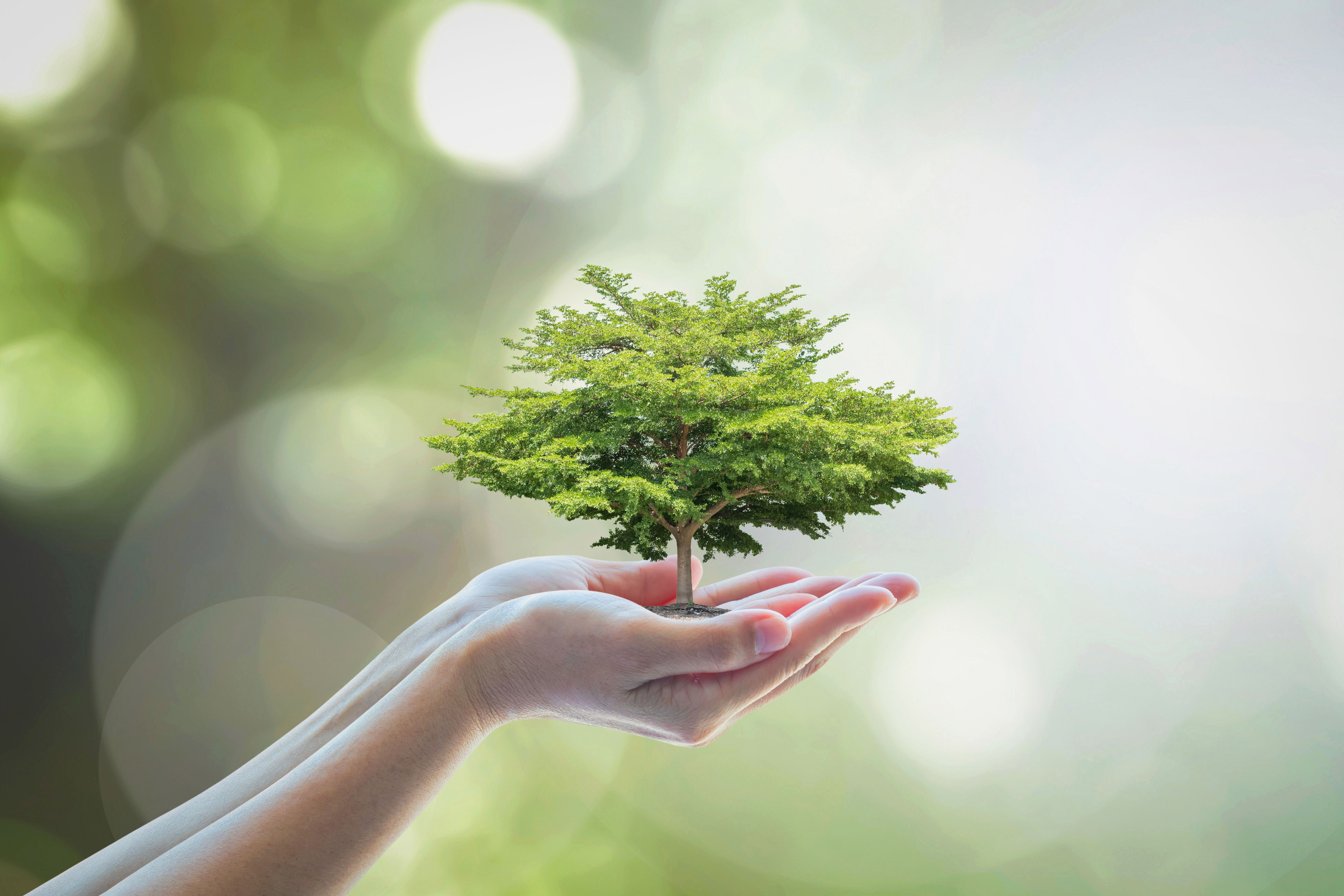 environnement durable