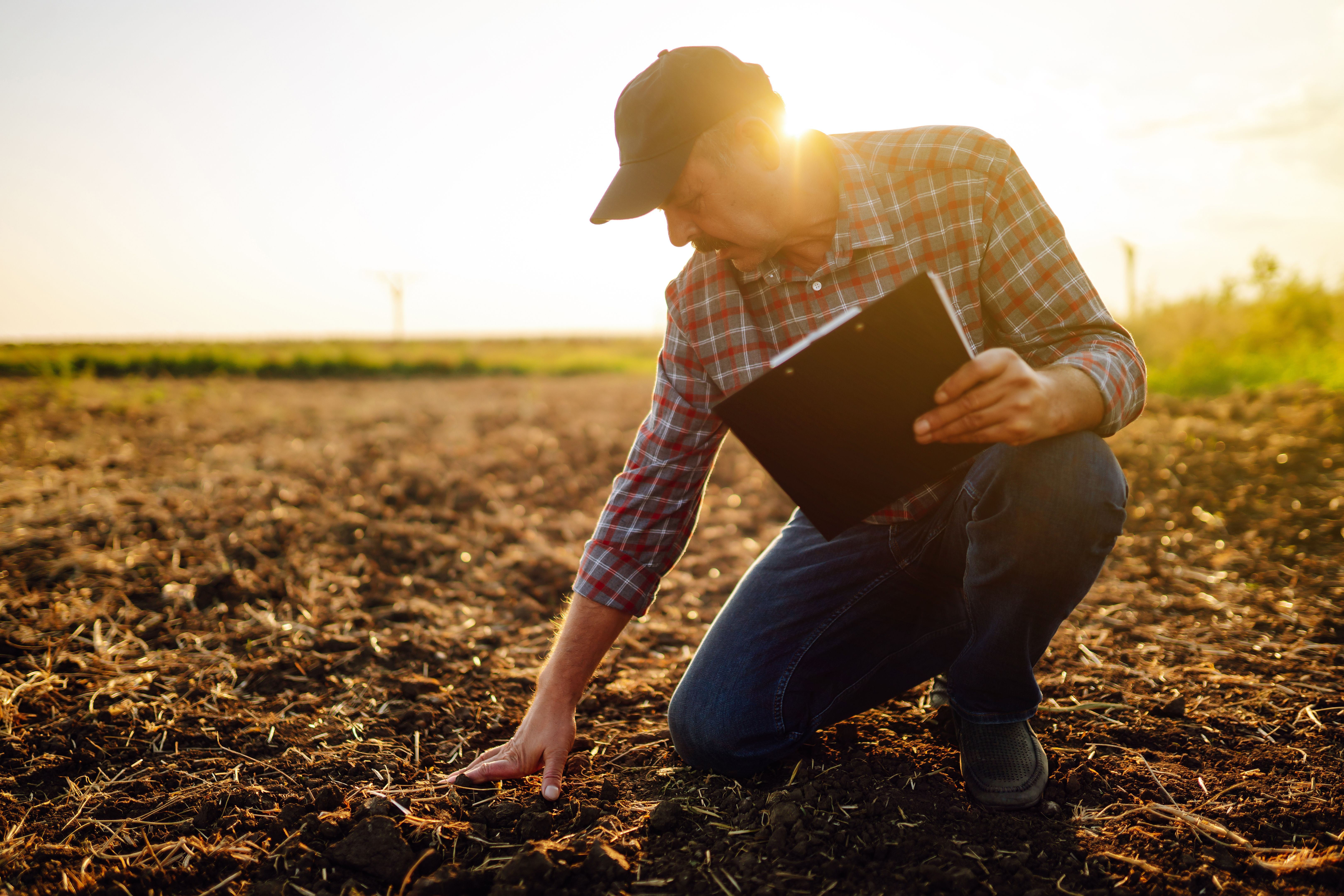 soil health