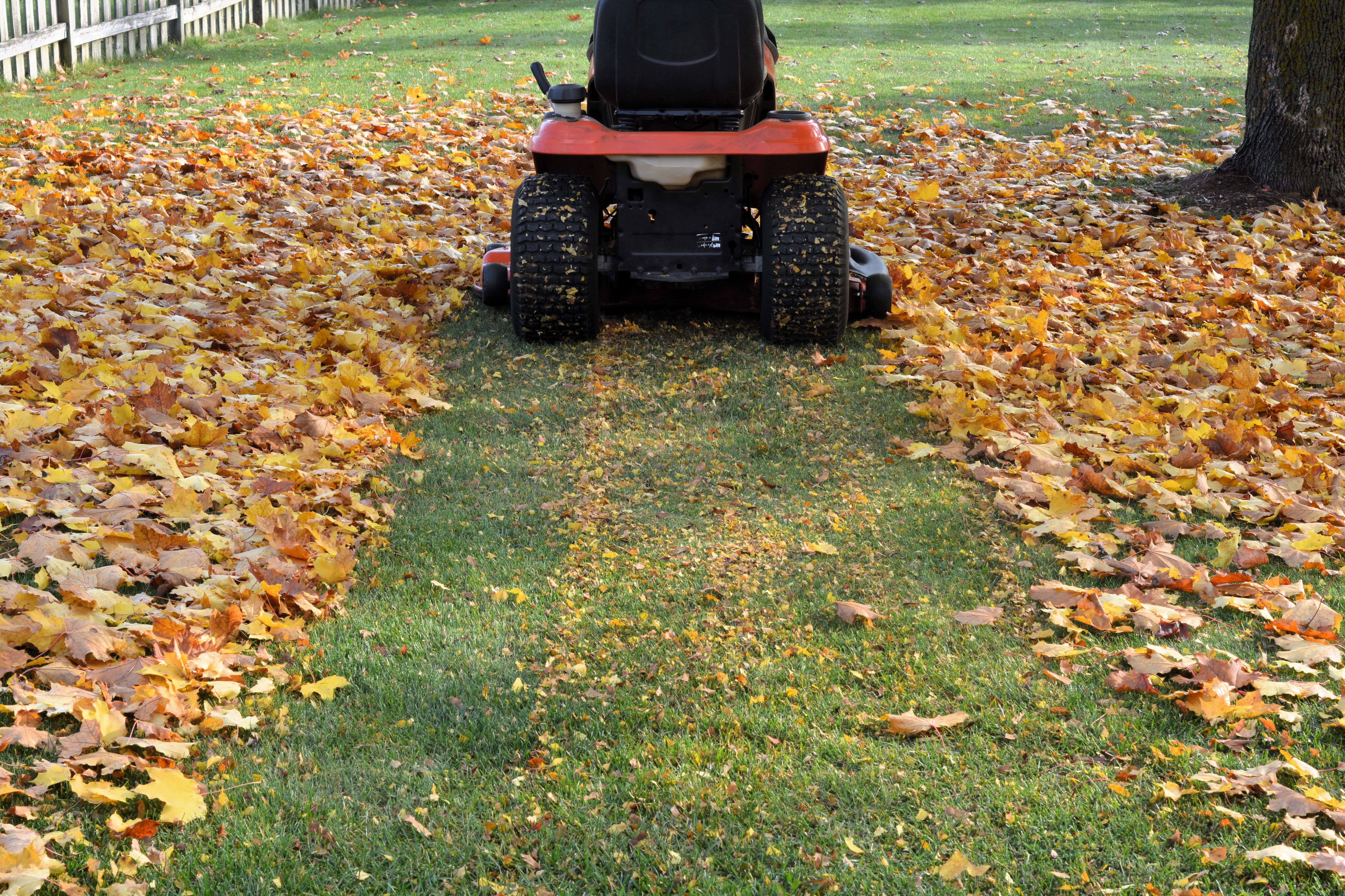 lawn mower