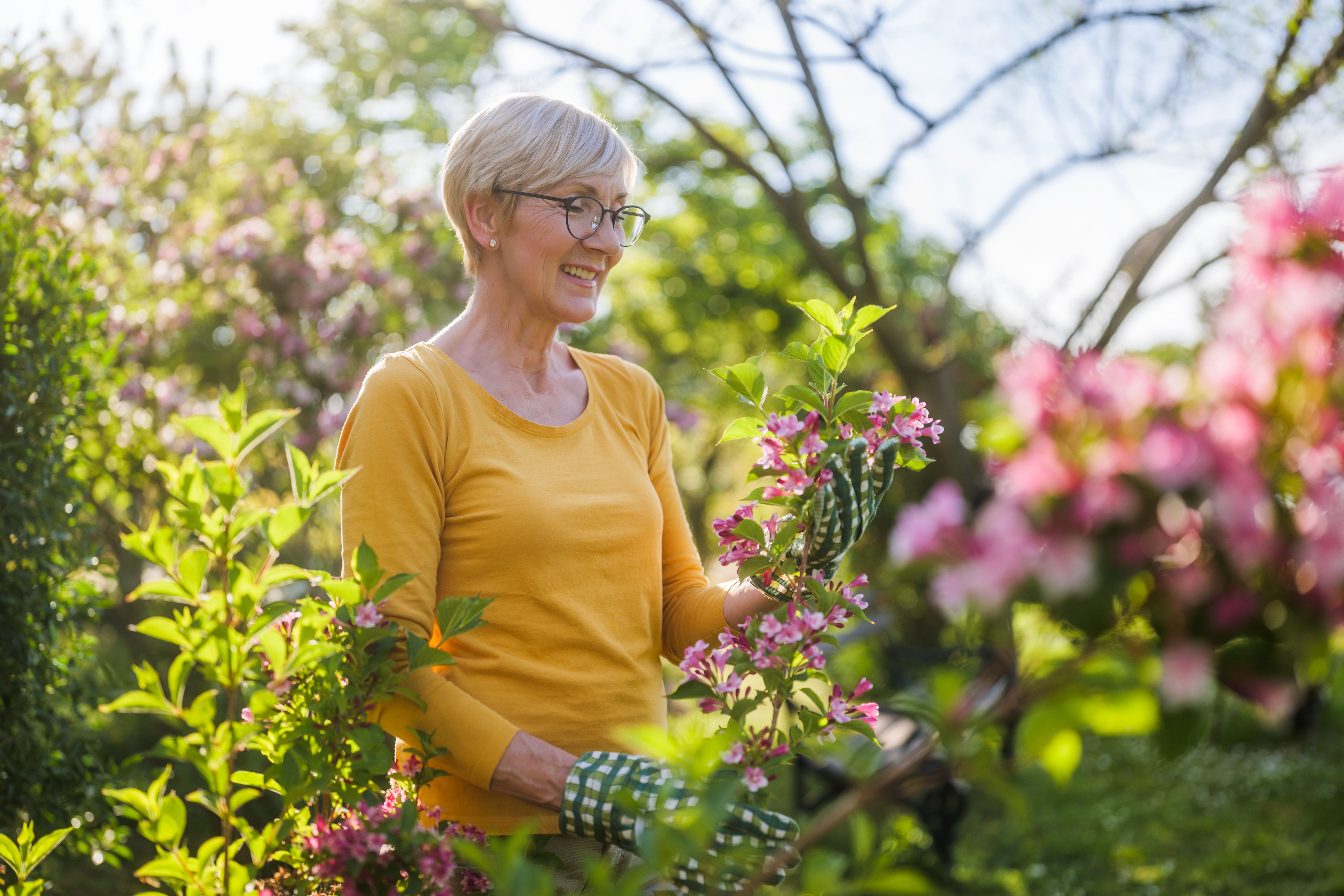 spring garden care