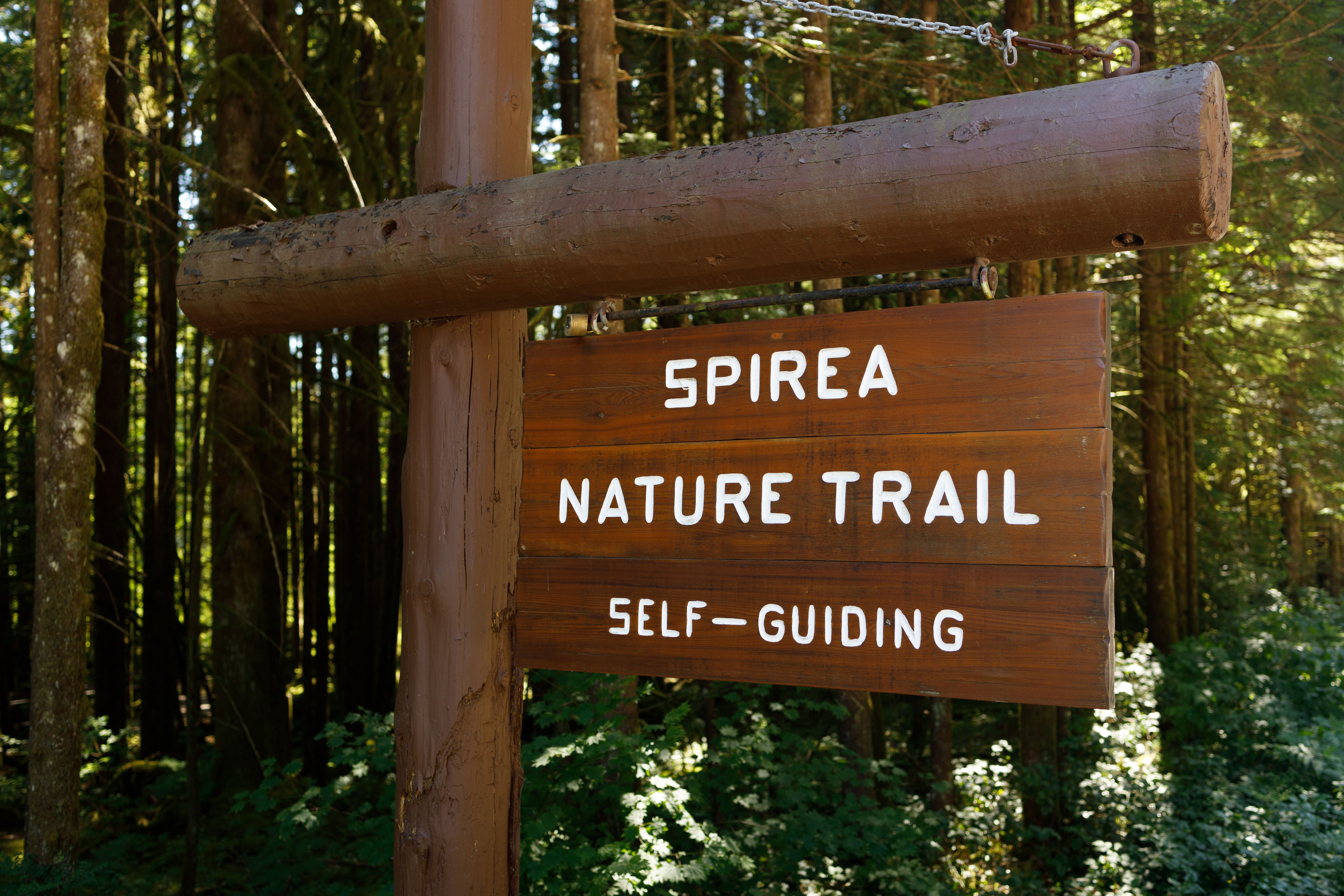 golden ears park trails