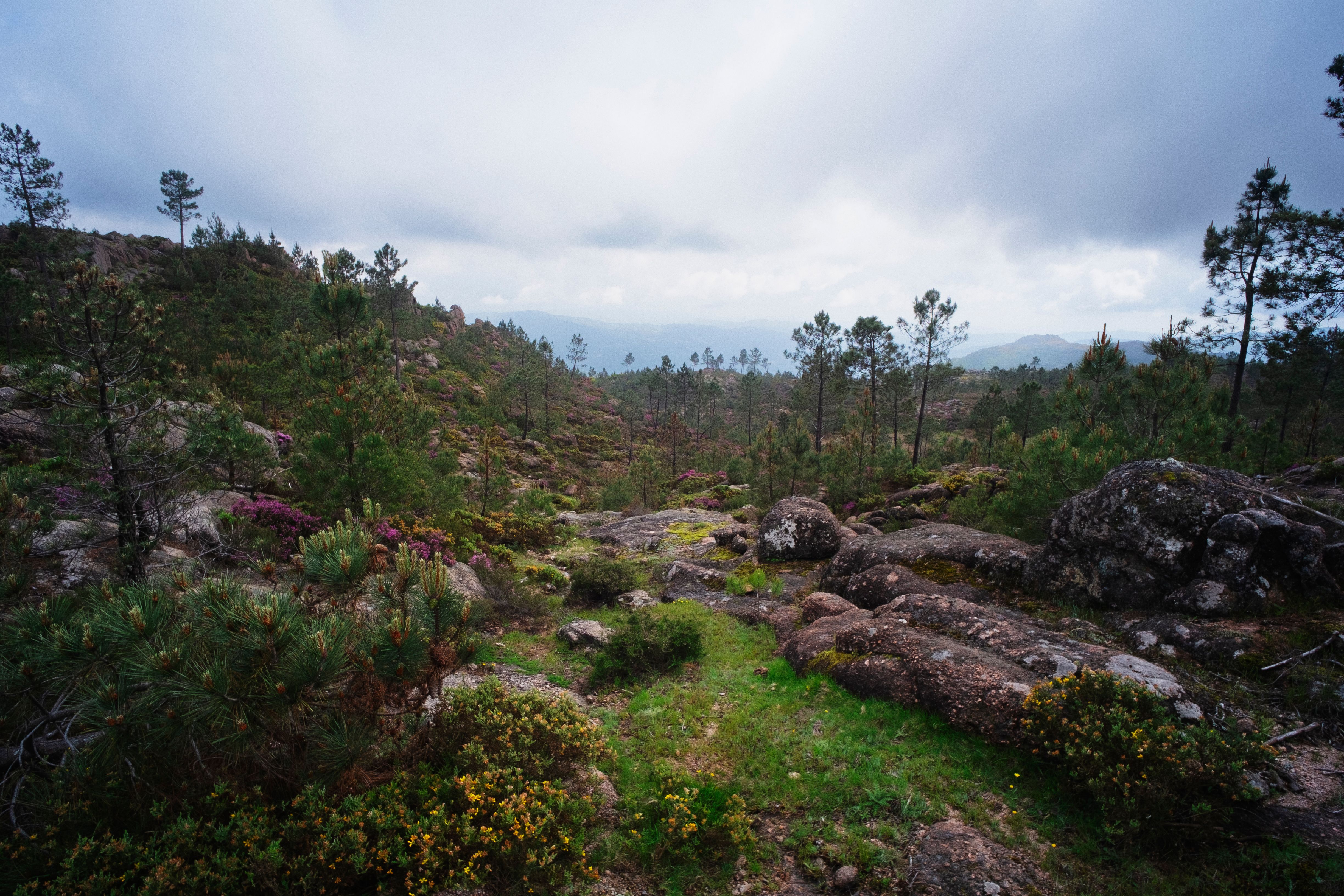 peneda geres national park