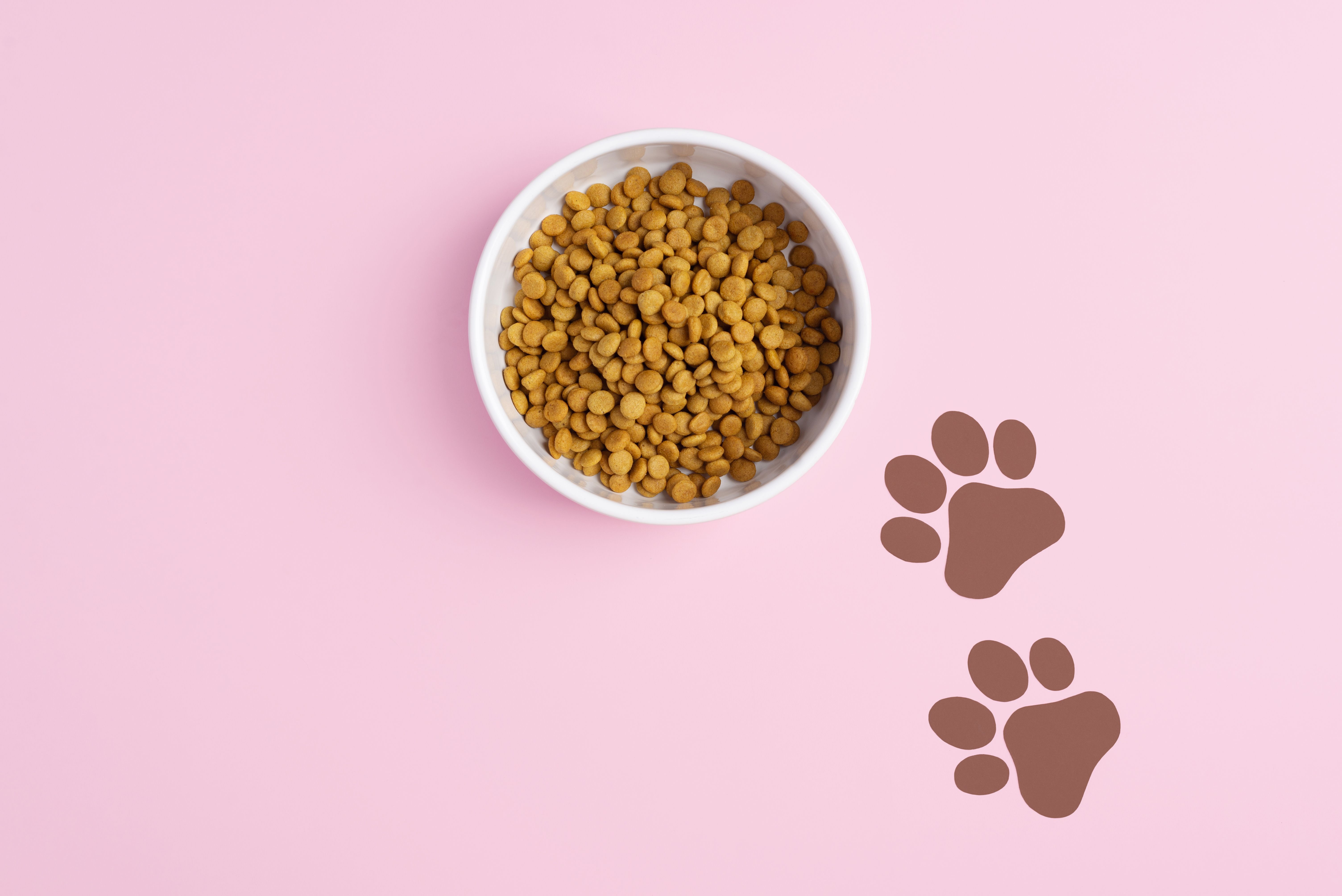 cat dog food