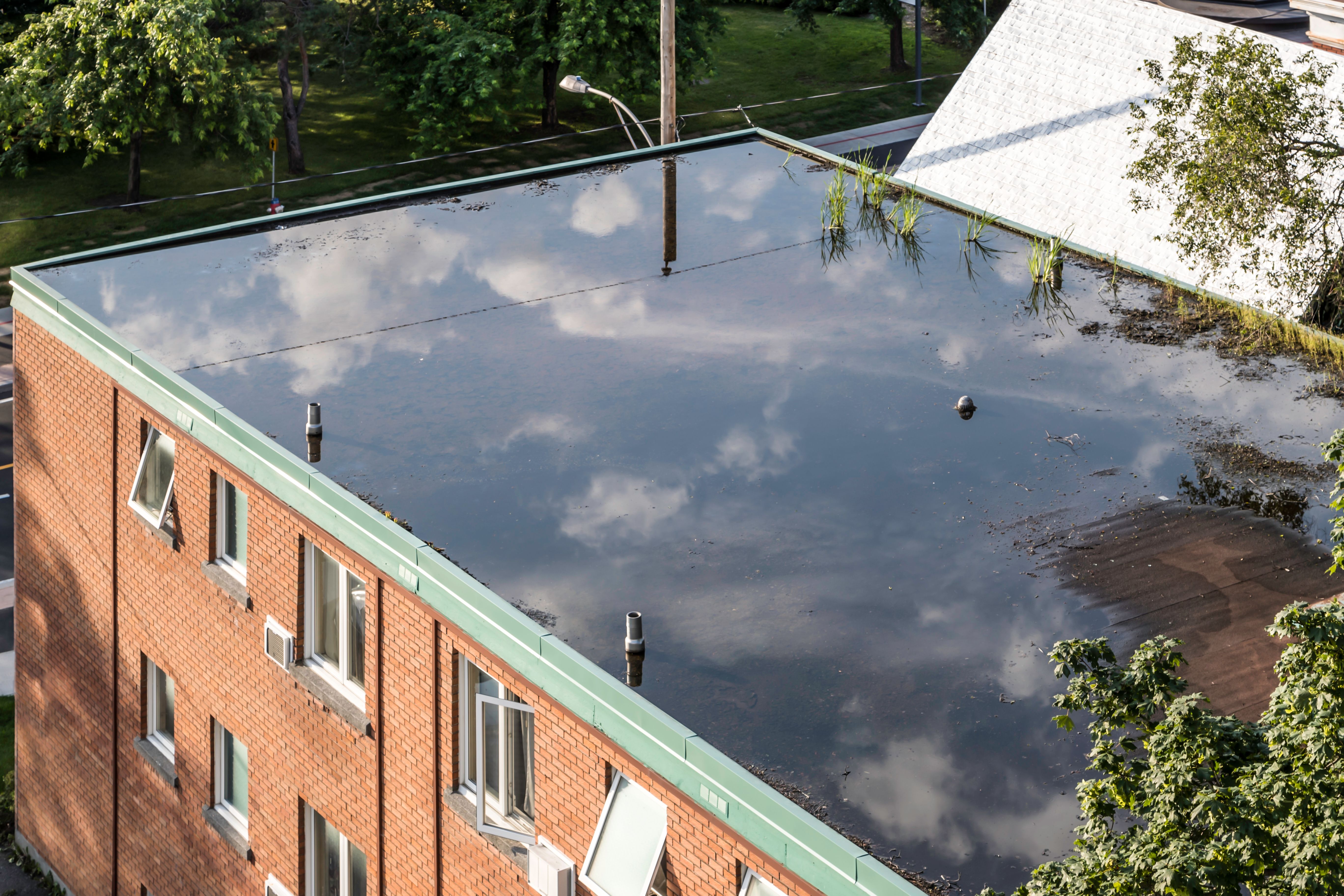 Flooded Roof on Old Abandoned Building Flooded Roof on Old Abandoned Building