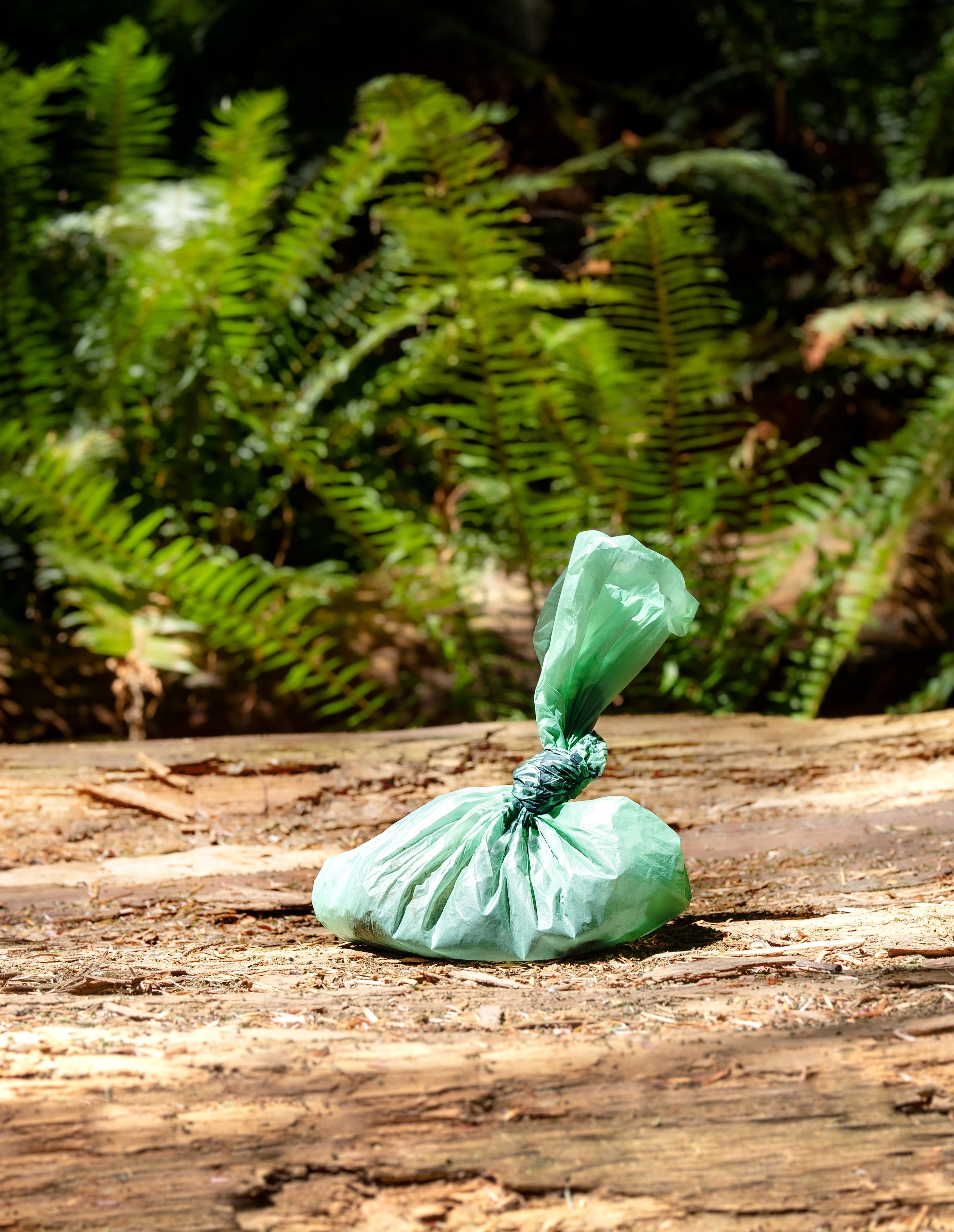 dog poop bag