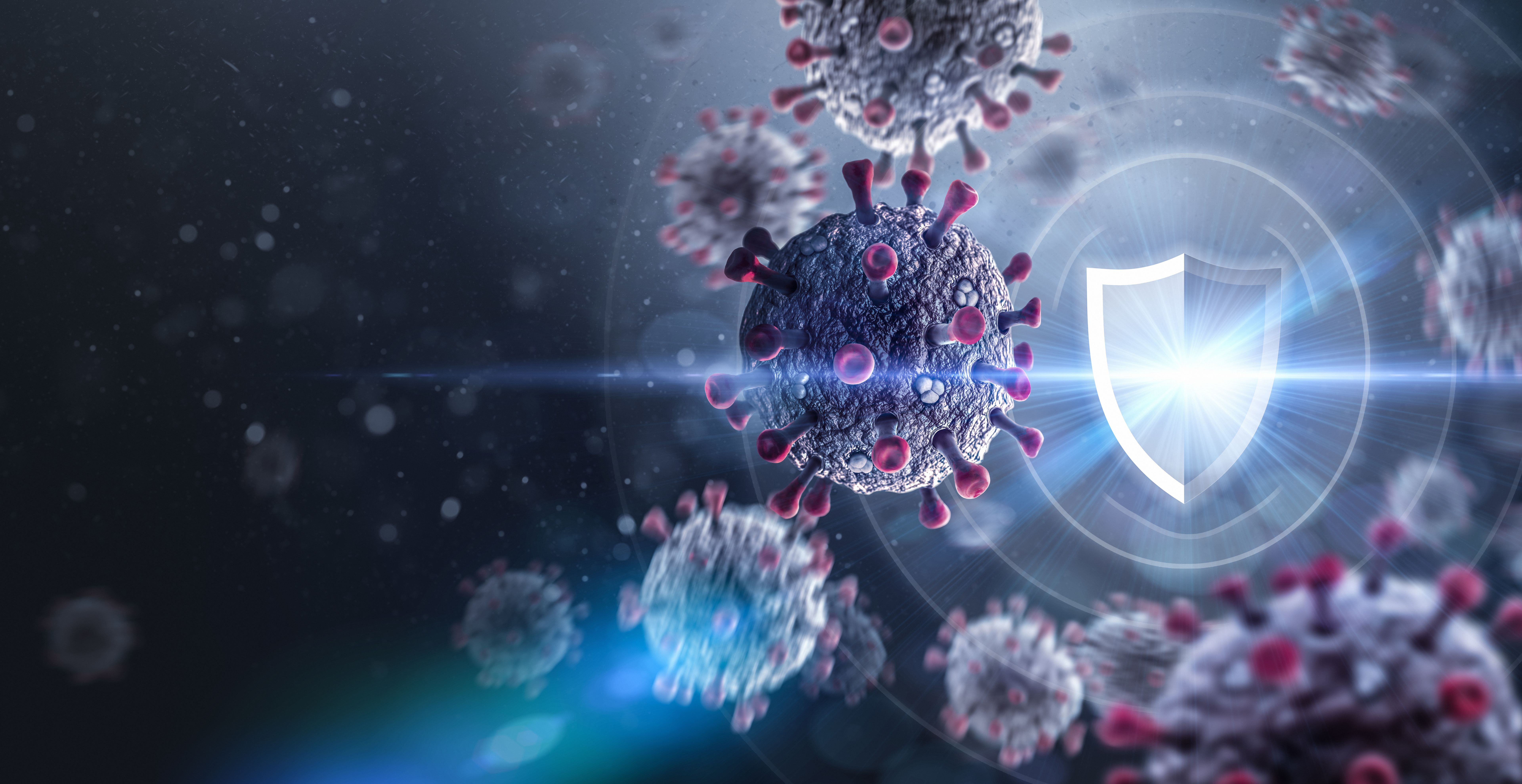 immune support