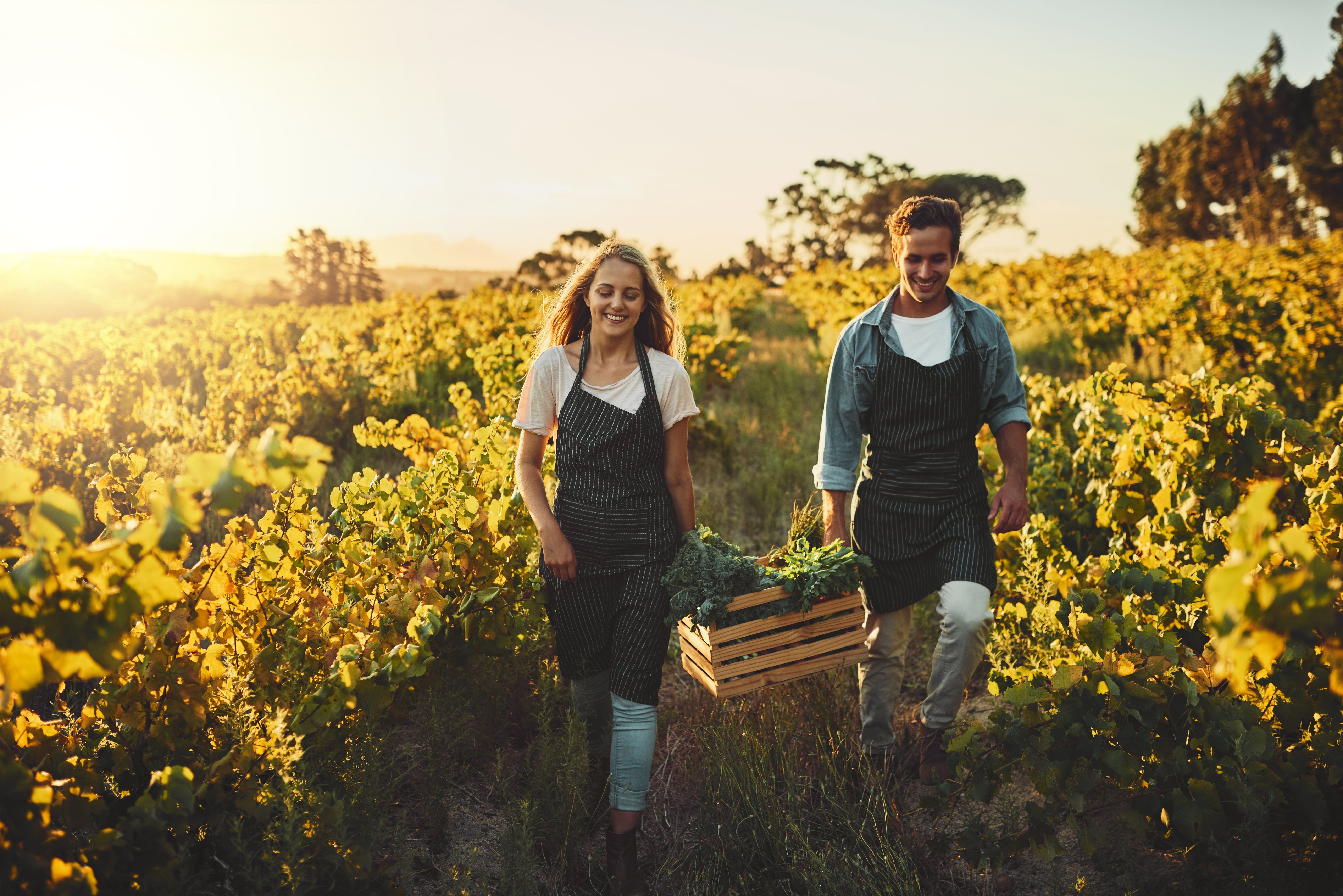 sustainable partnership