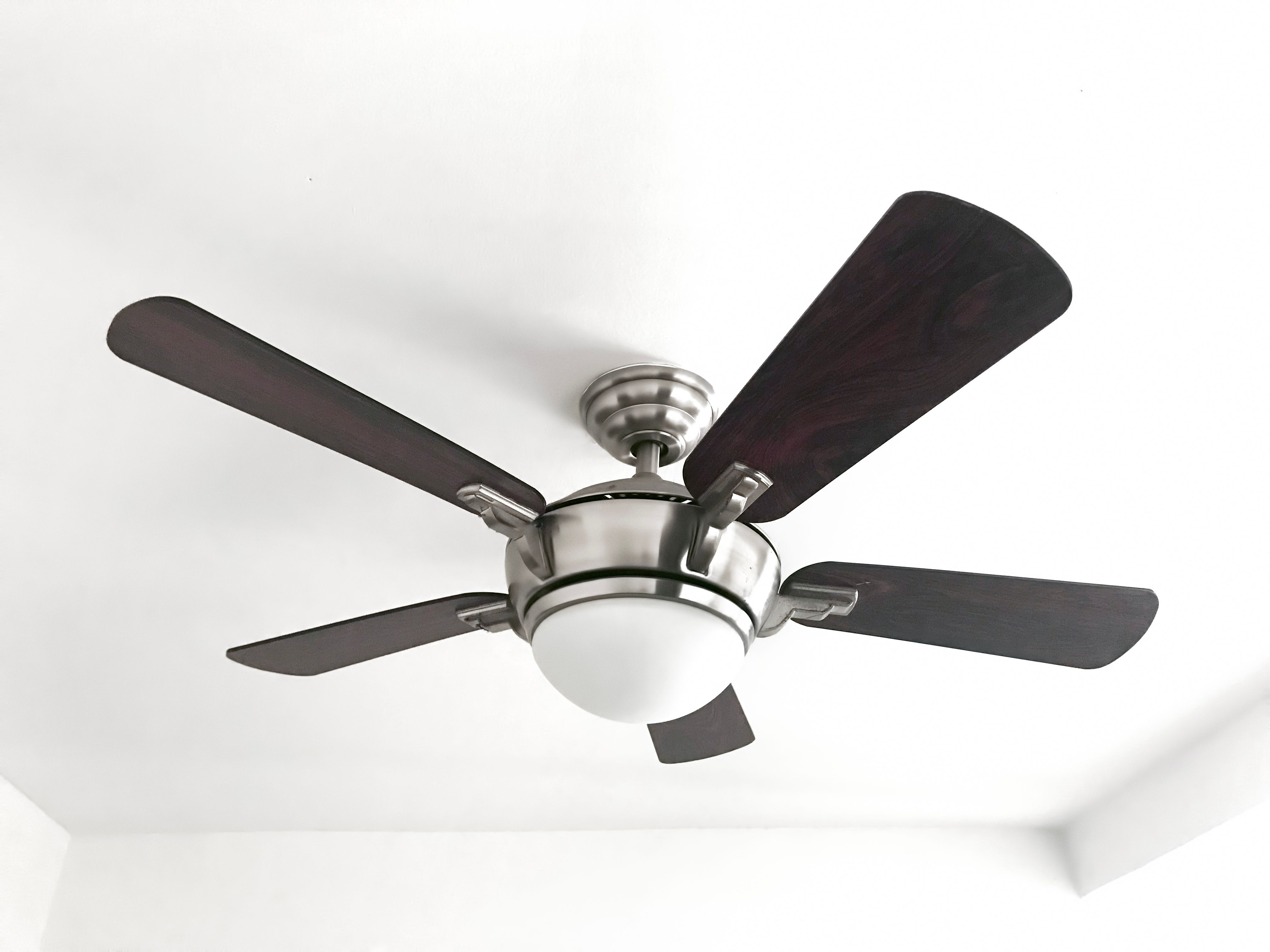 ceiling fan home