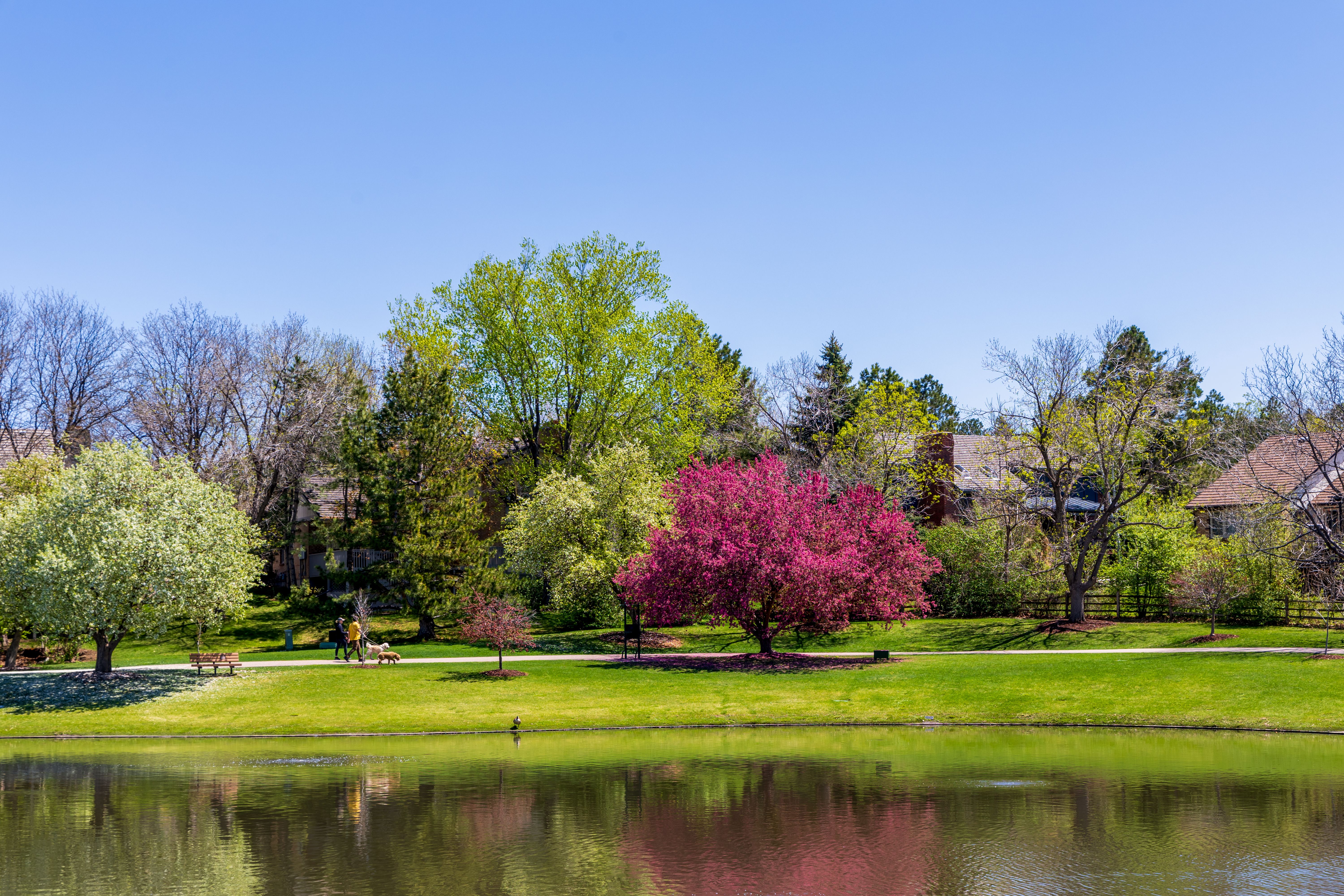 englewood colorado homes