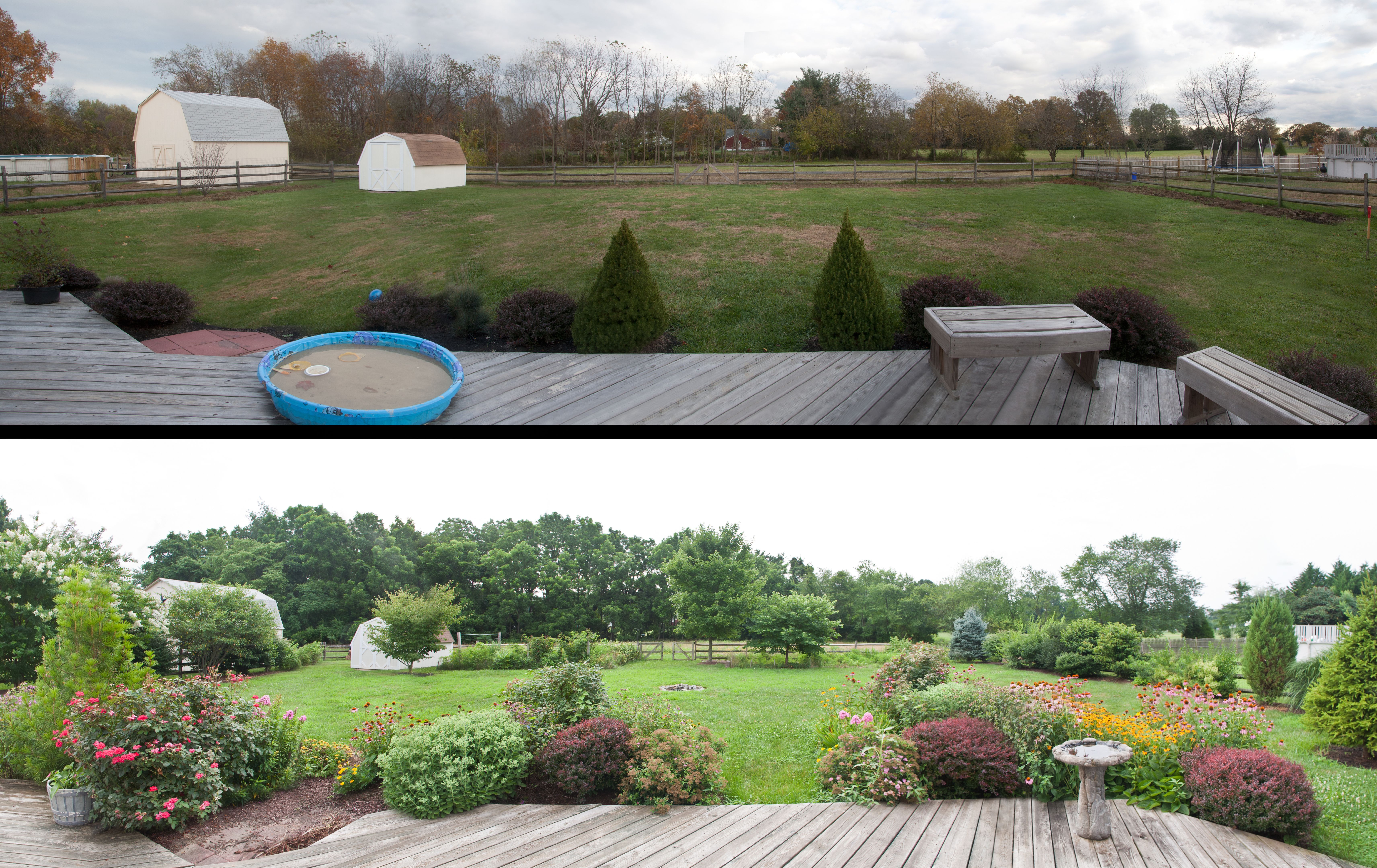 landscaping before and after