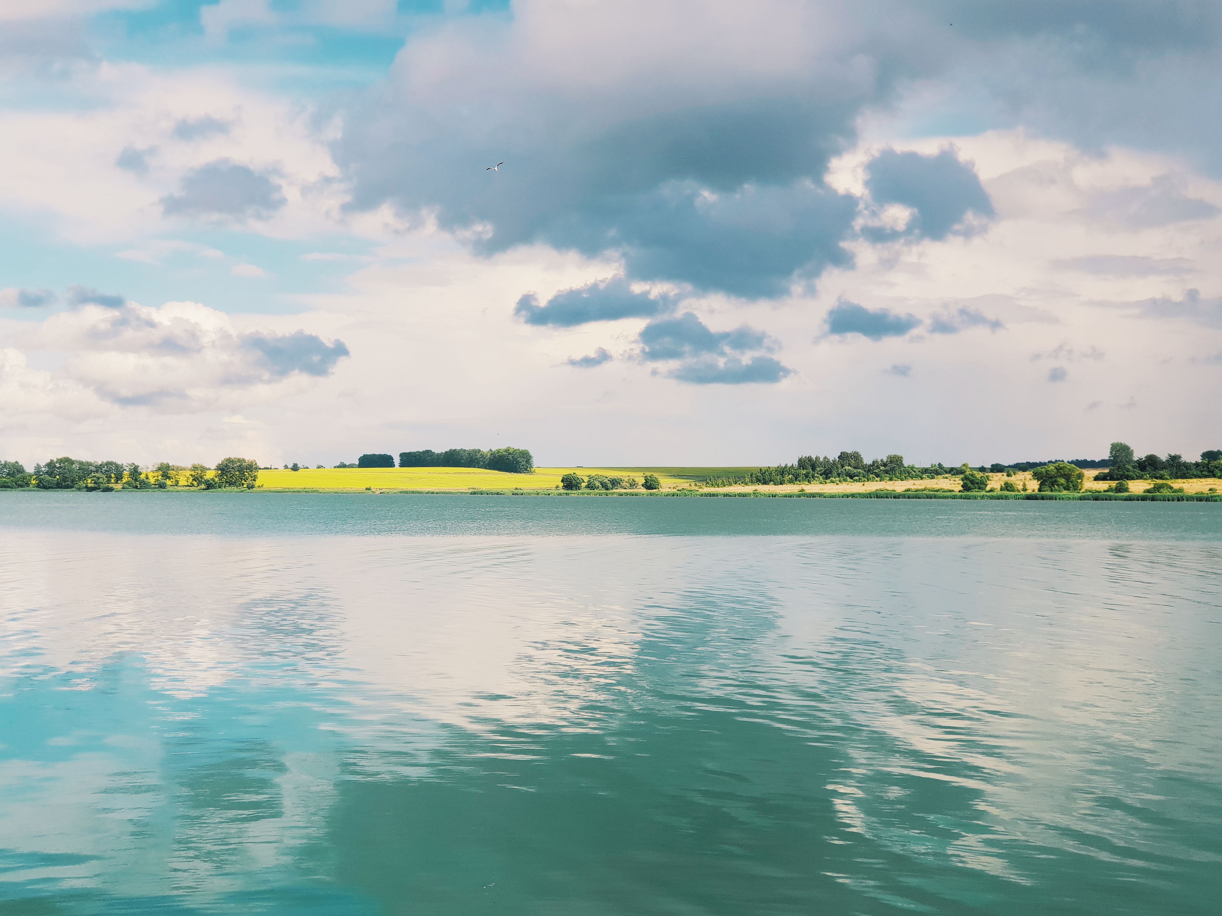 zürichsee landschaft