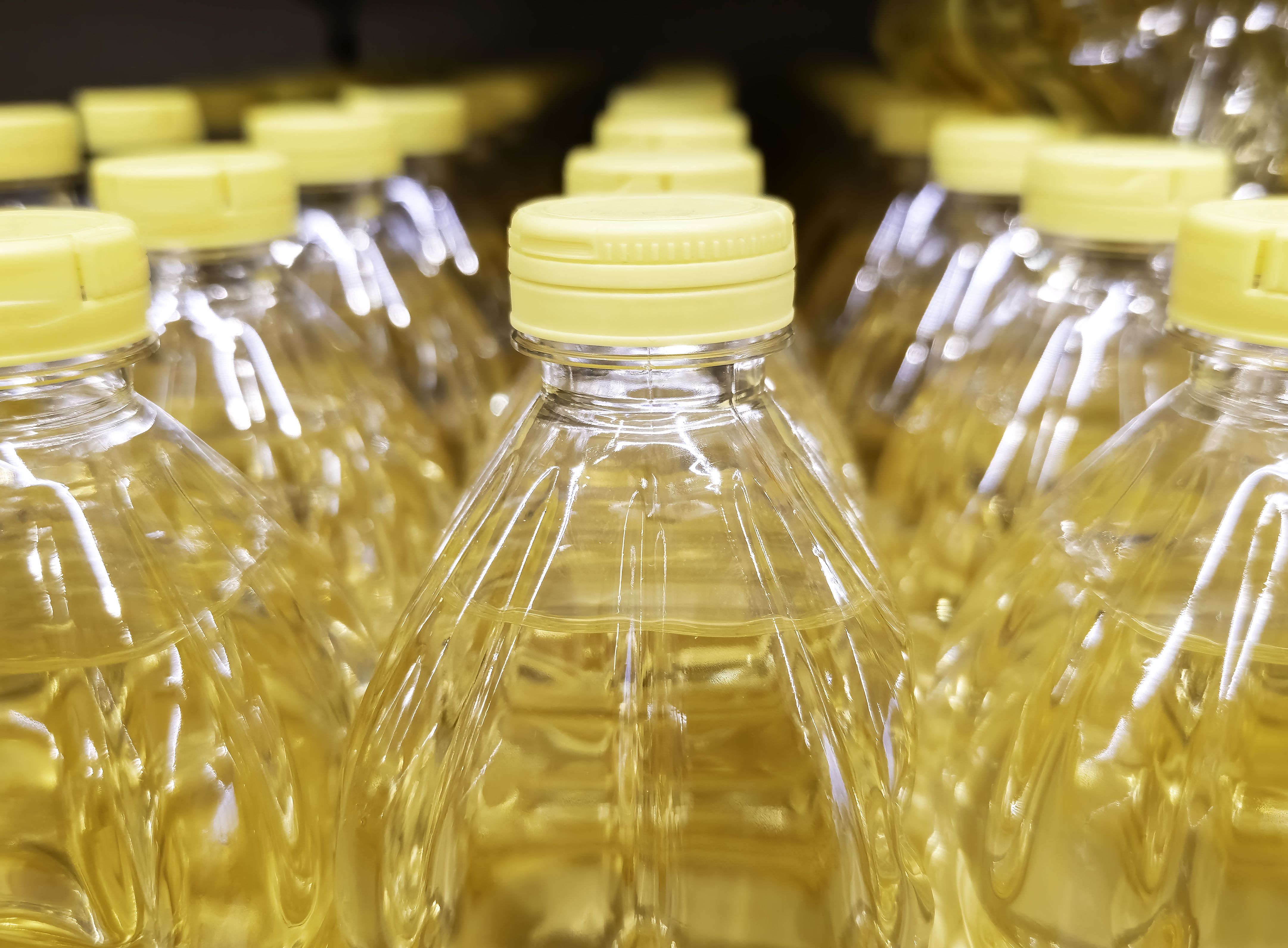 olive oil production