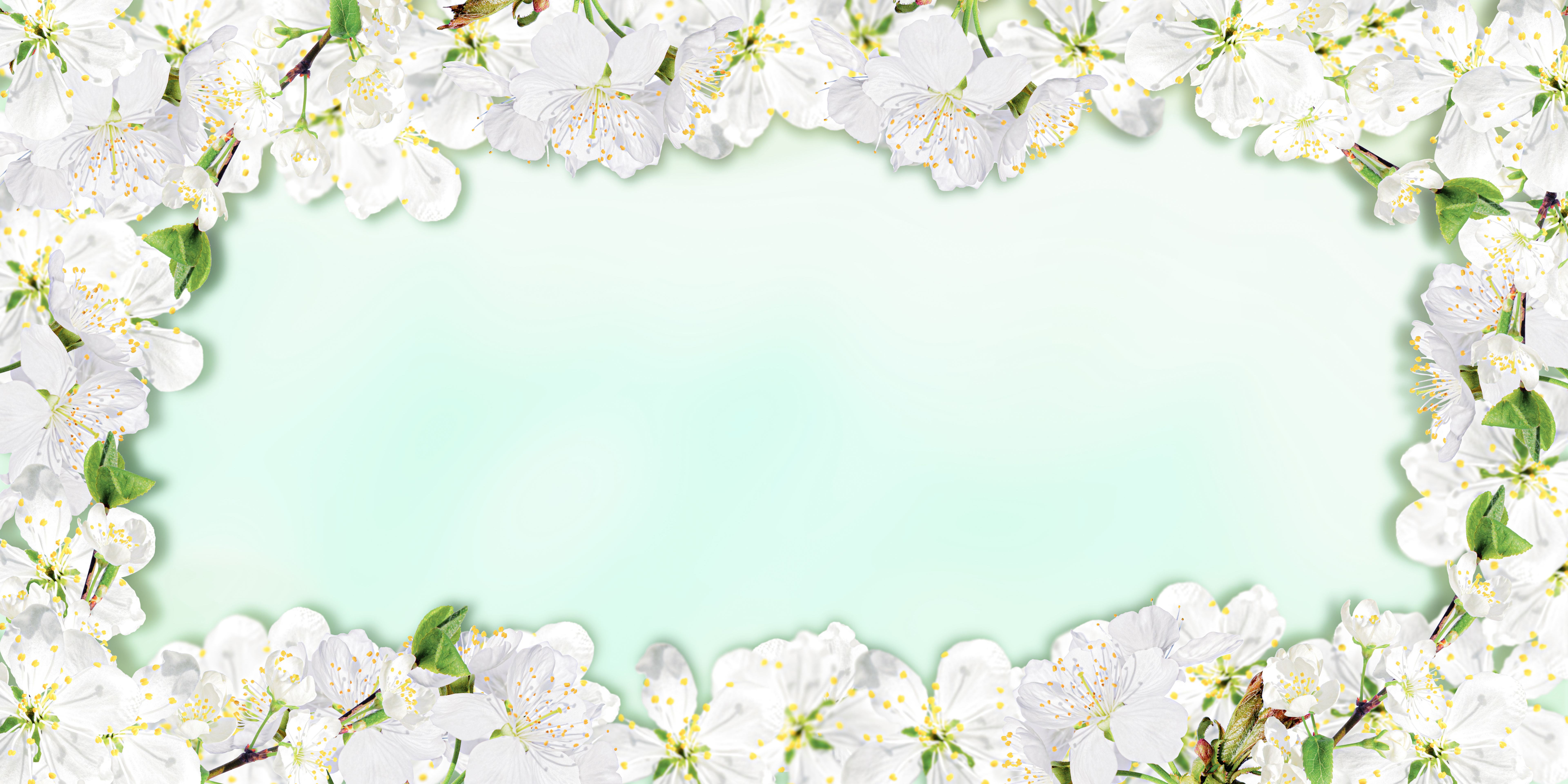 cherry blossoms wedding