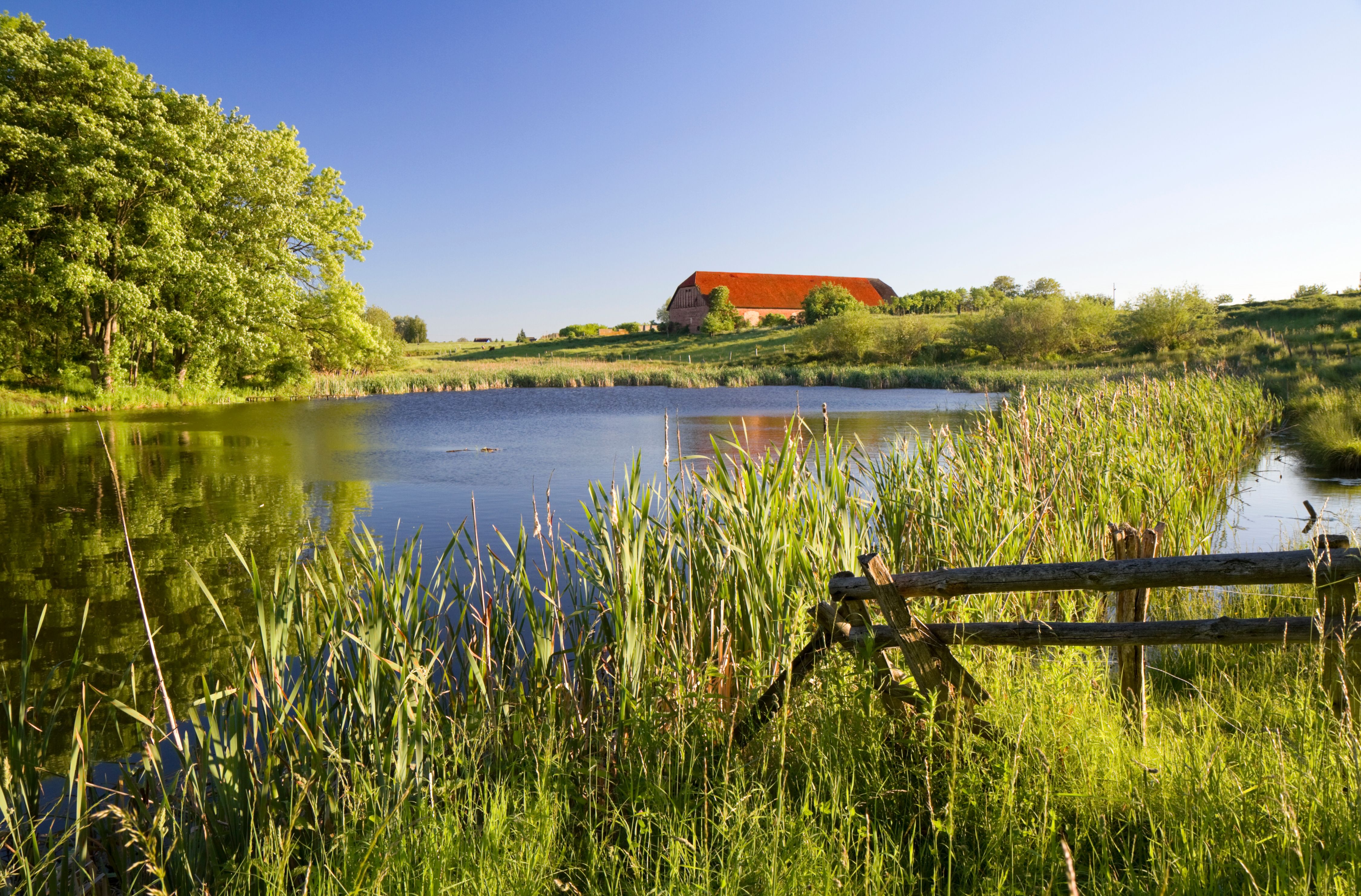view to church of Feldberger Seenlandschaft - Mecklenburg, Germany