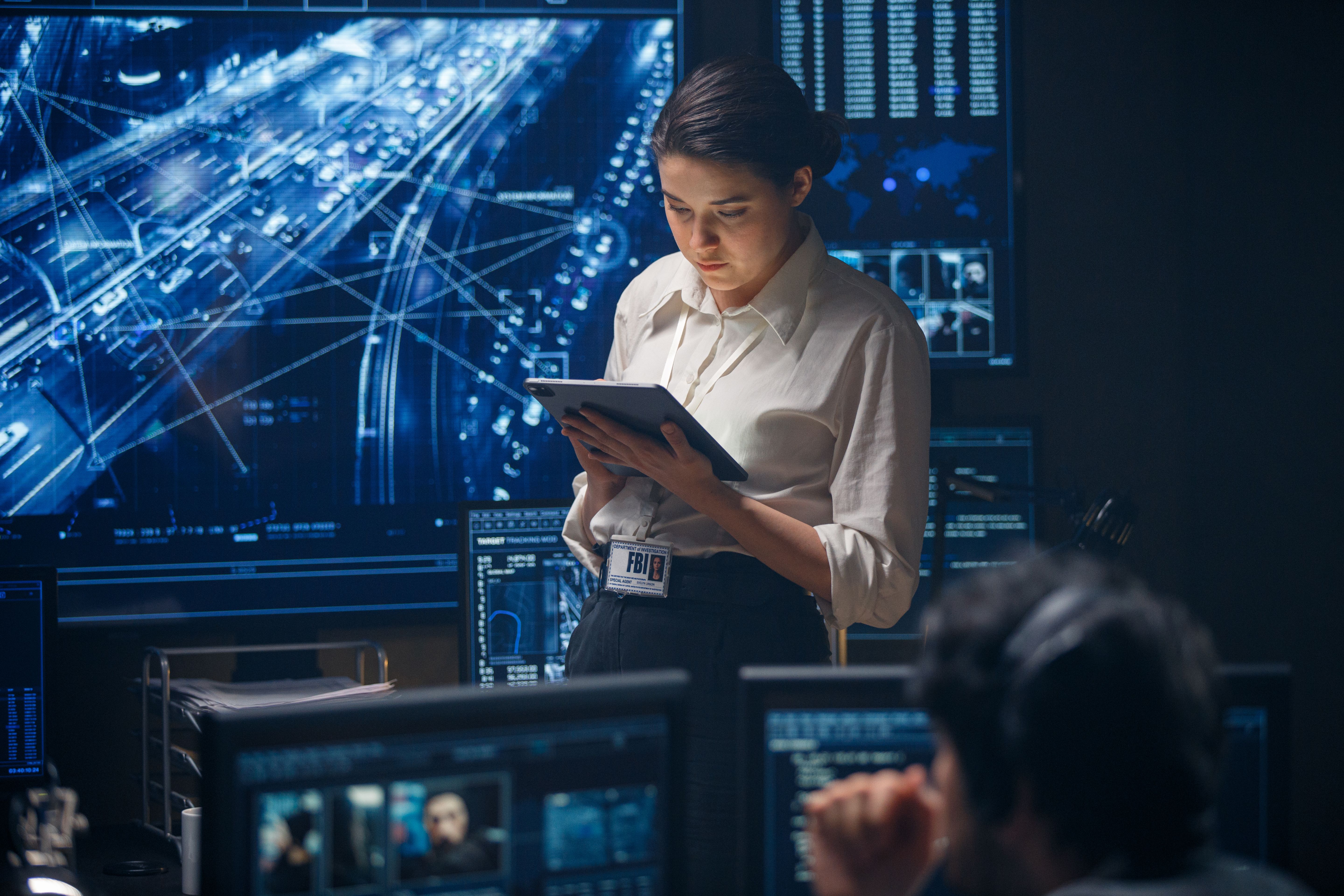 cybersecurity investigator