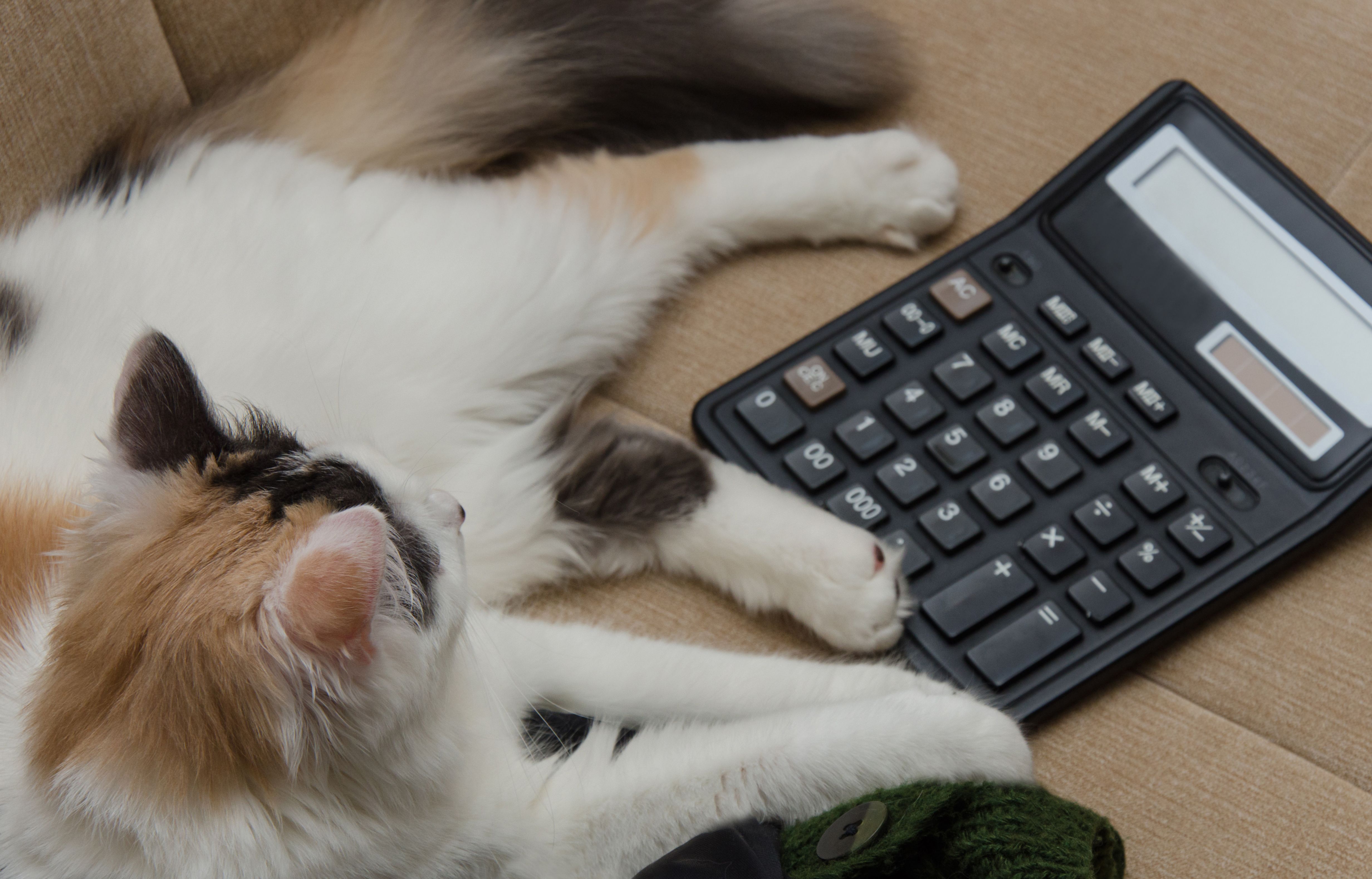 pet insurance calculator