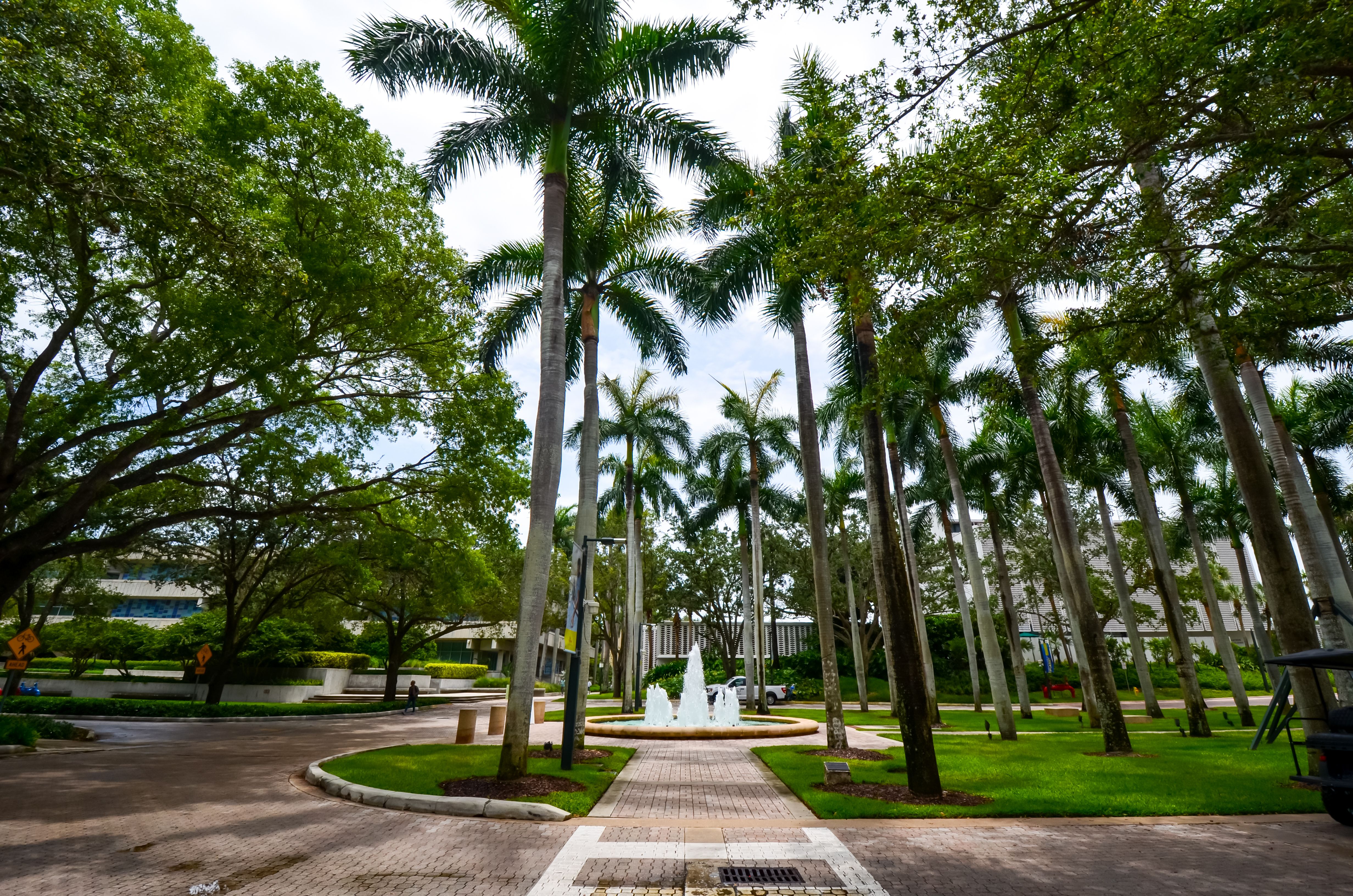 miami plumbing