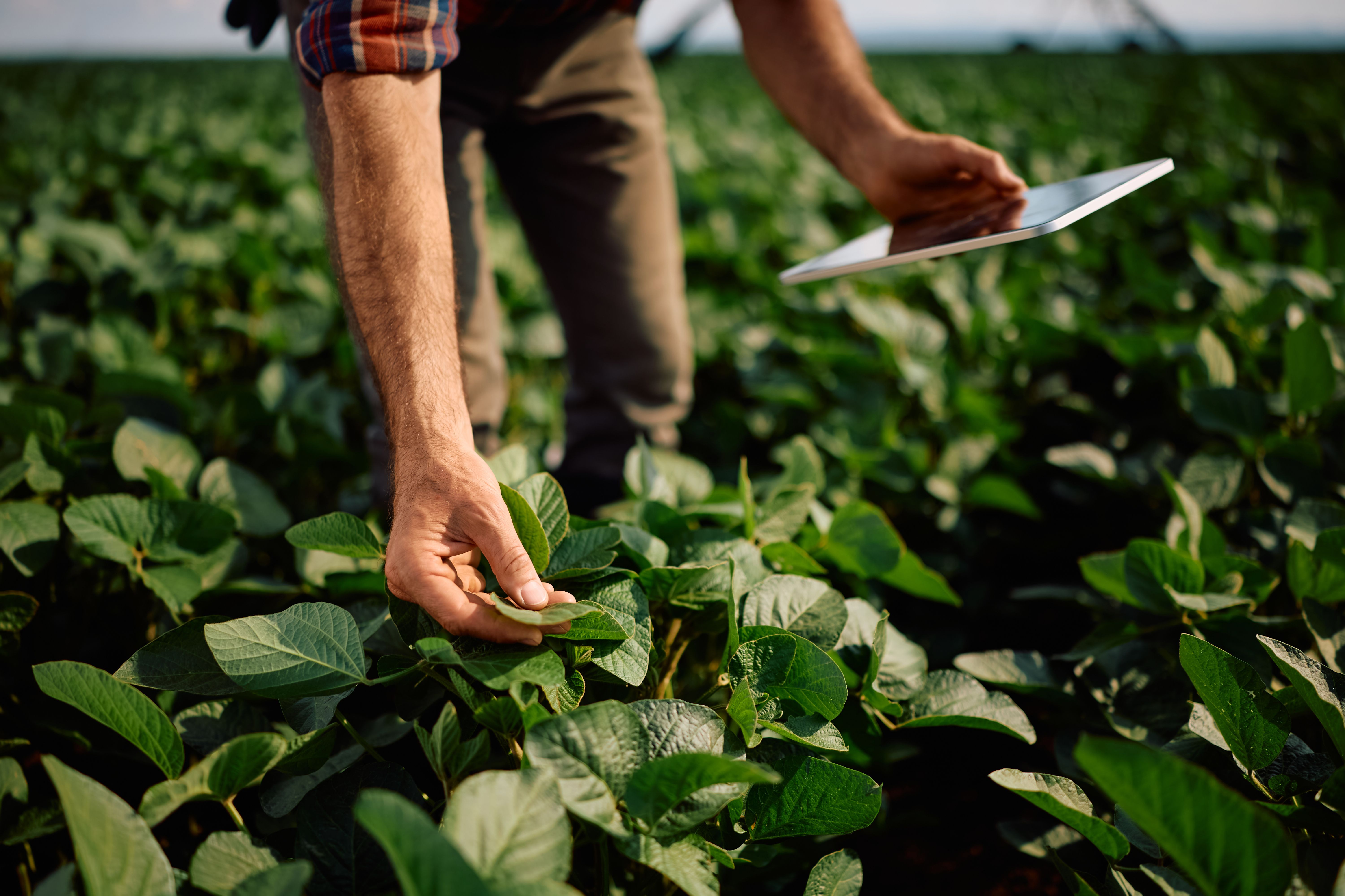 agriculture technology