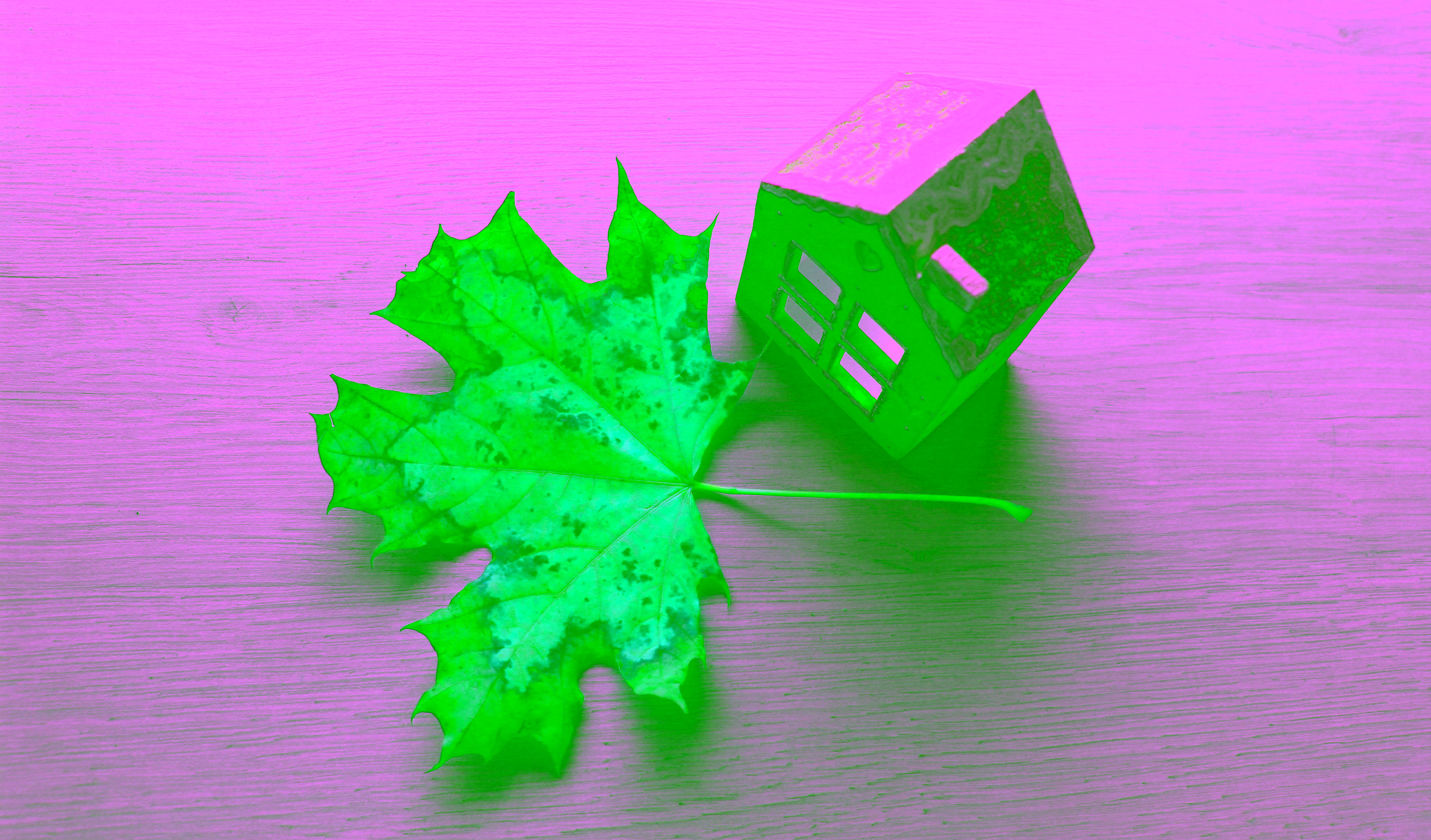 seasonal changes home