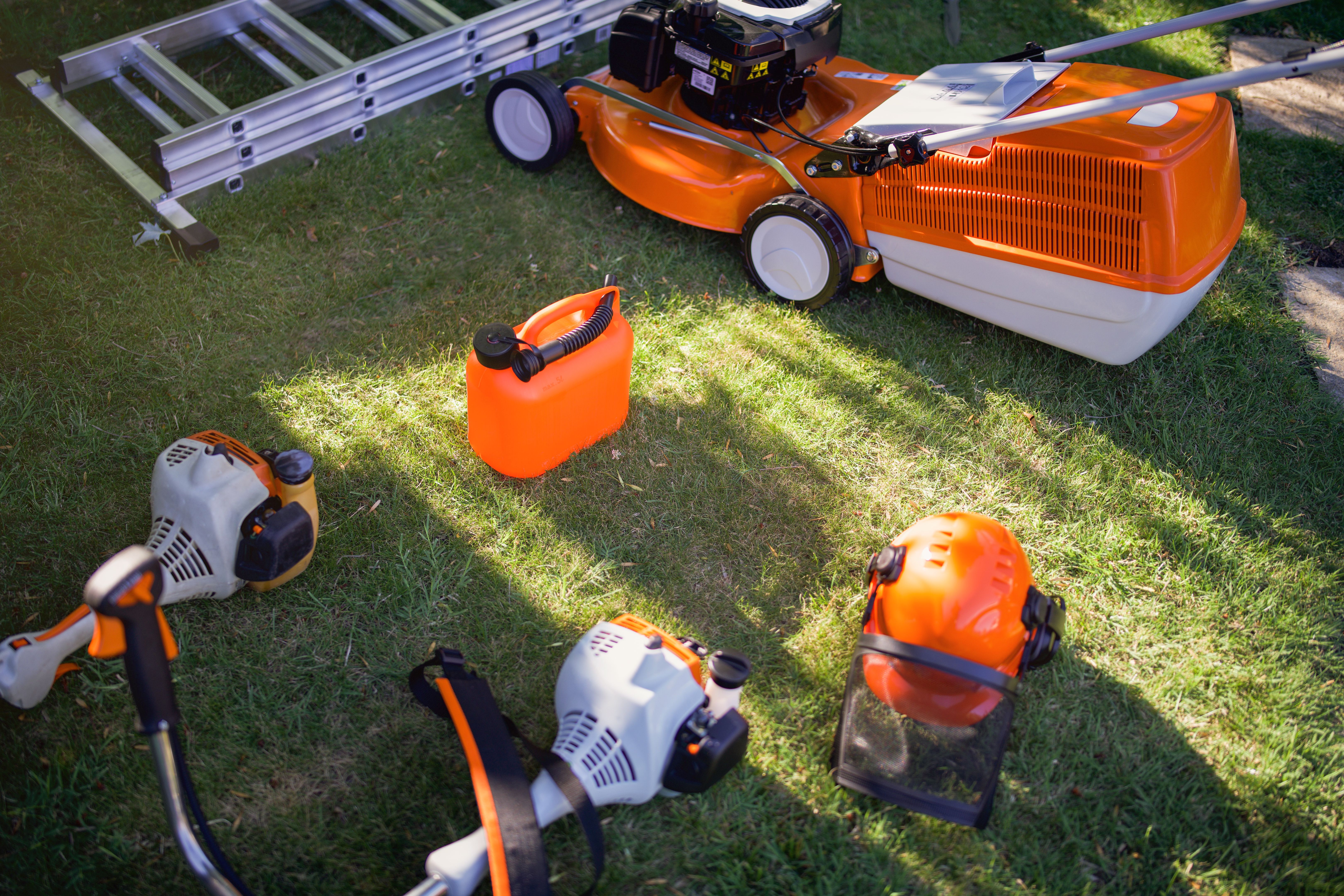 lawn care basics