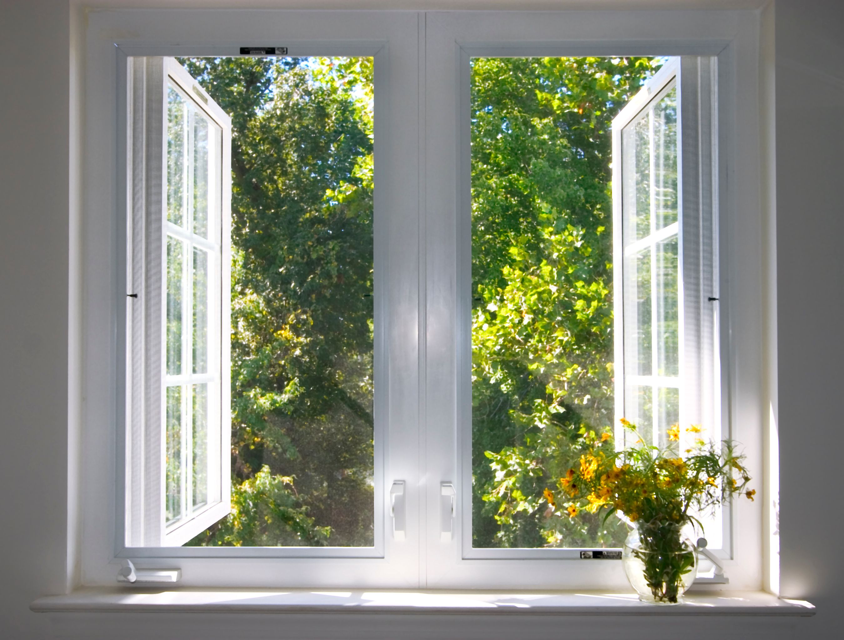 streak free window
