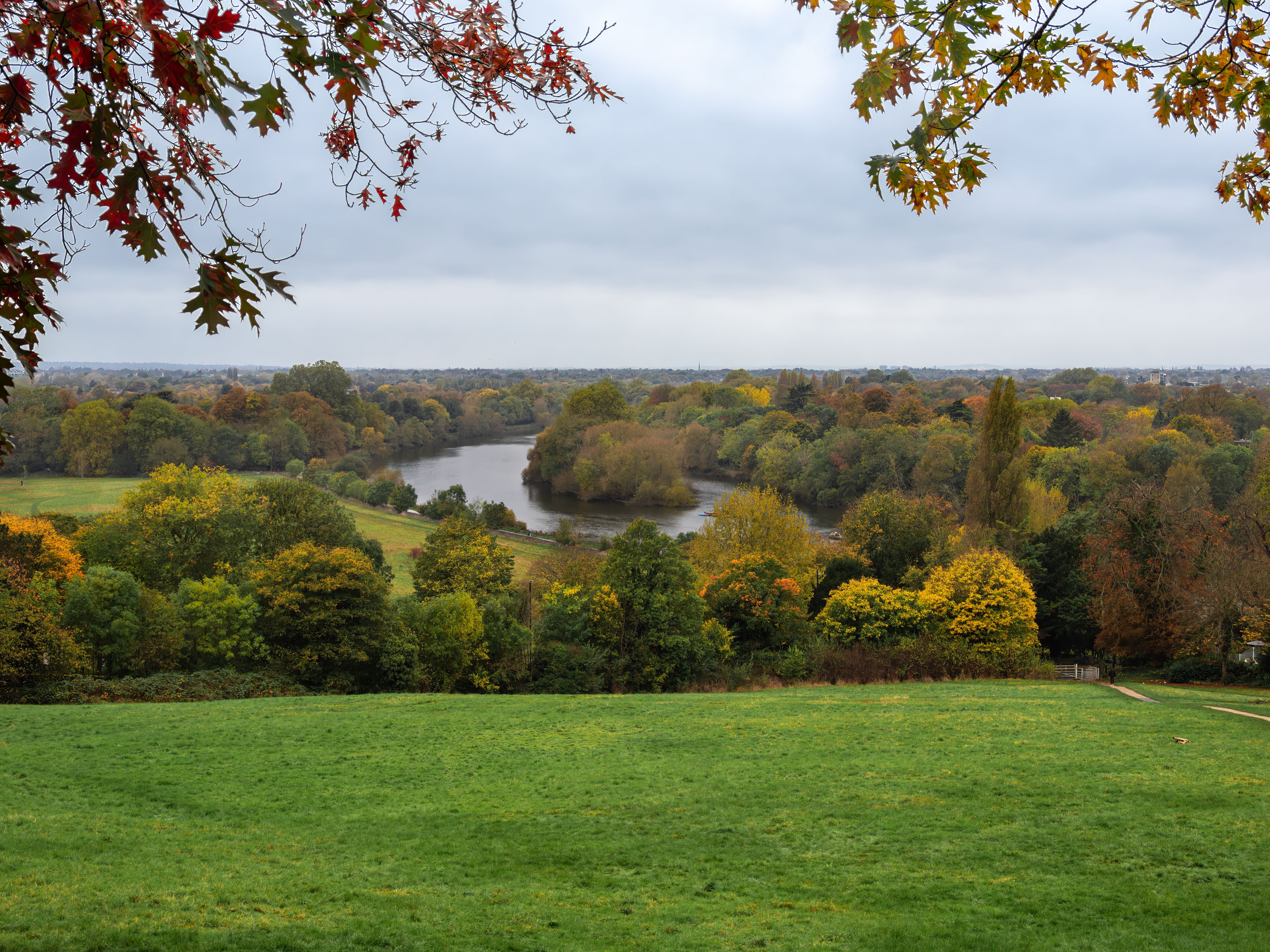 richmond park