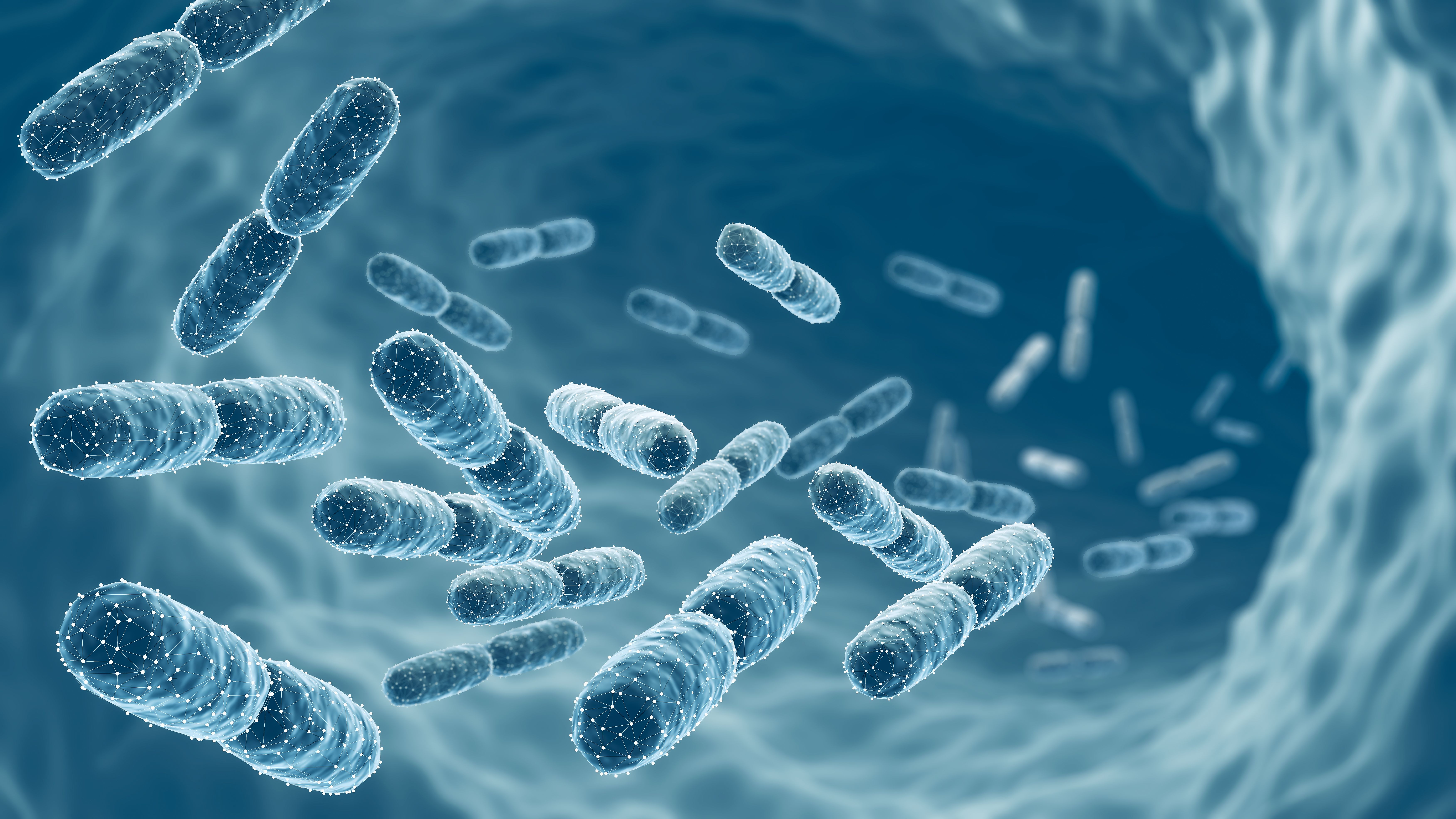 probiotic supplements
