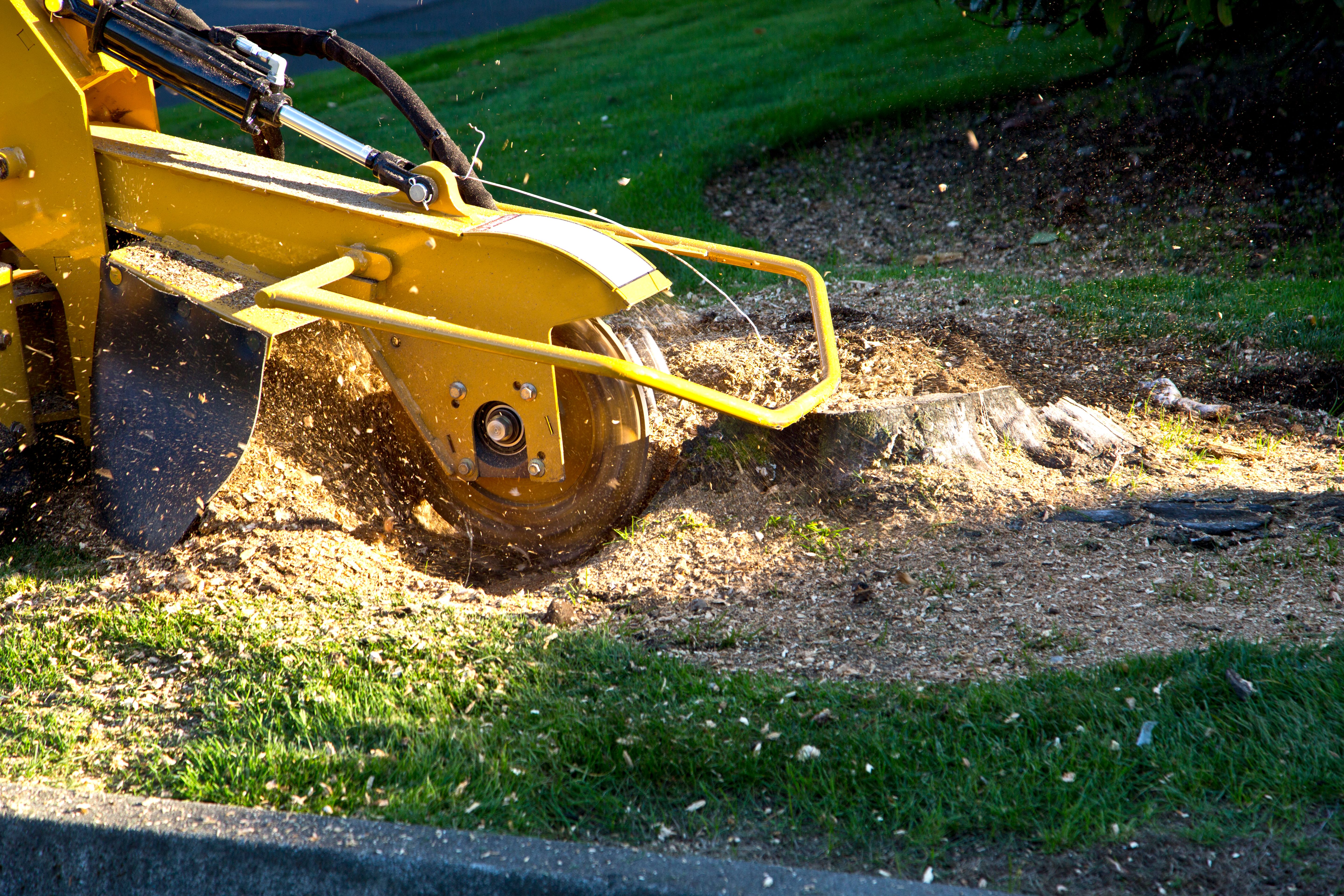 stump grinding machine