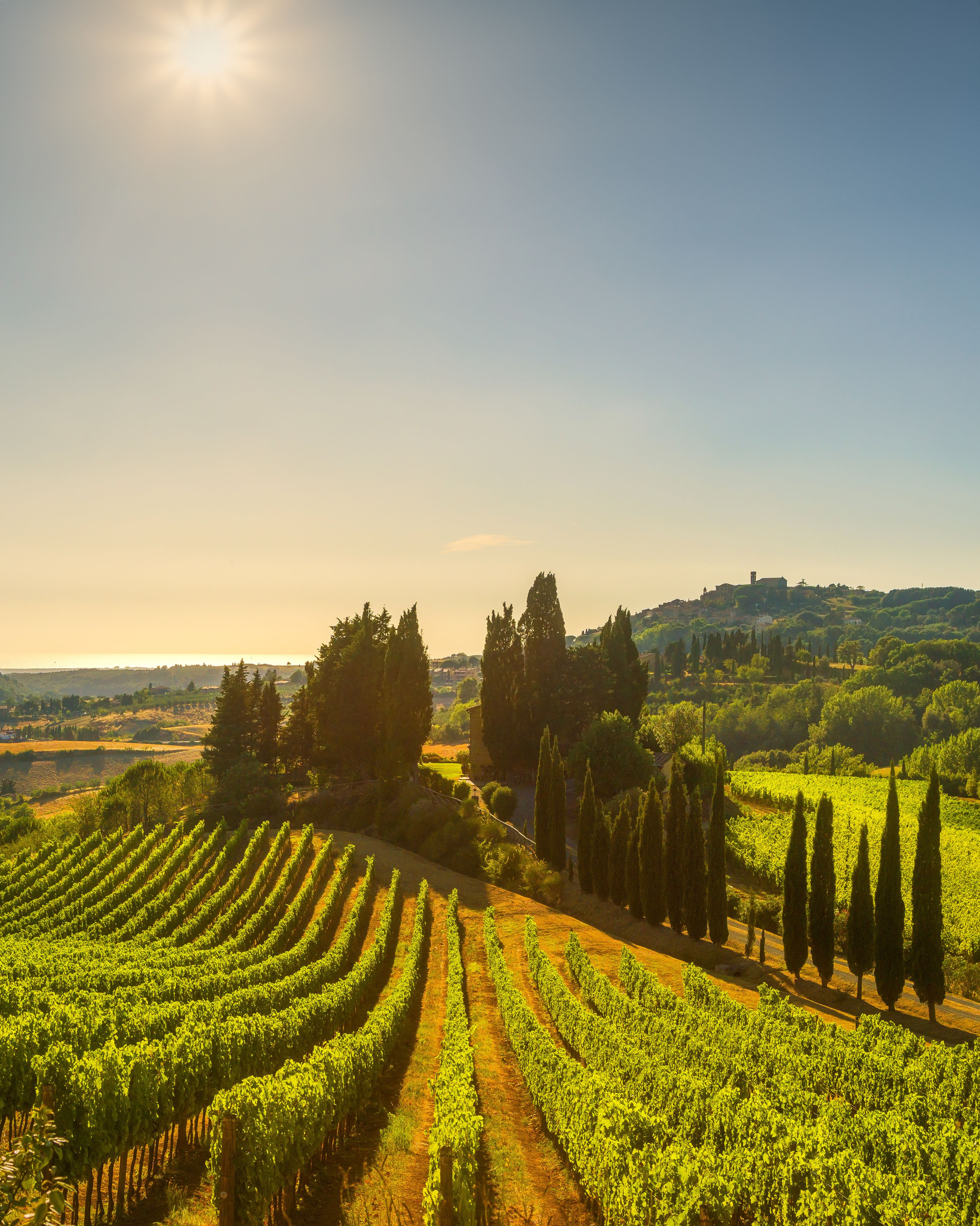 wine tour tuscany