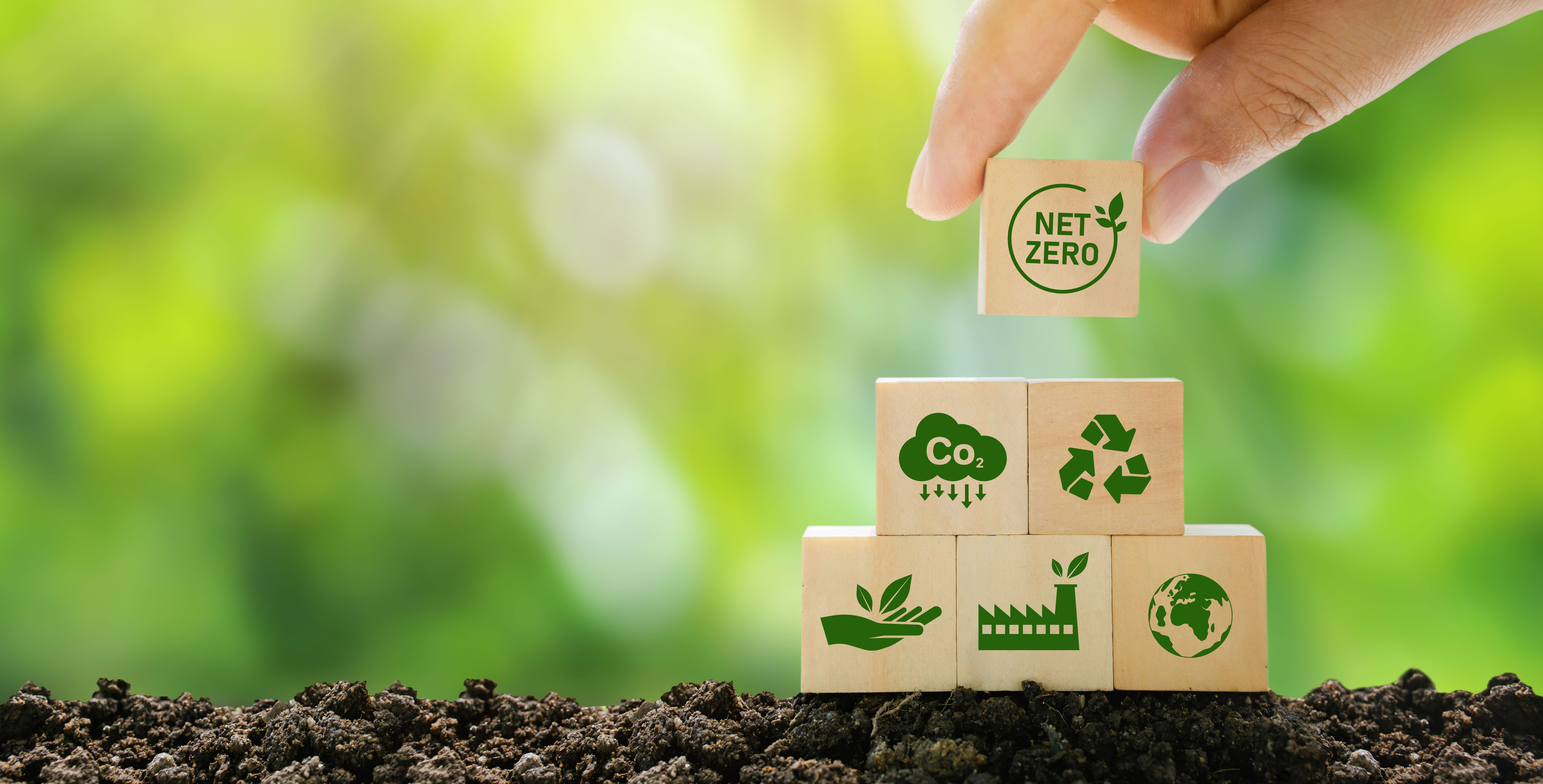 net zero business