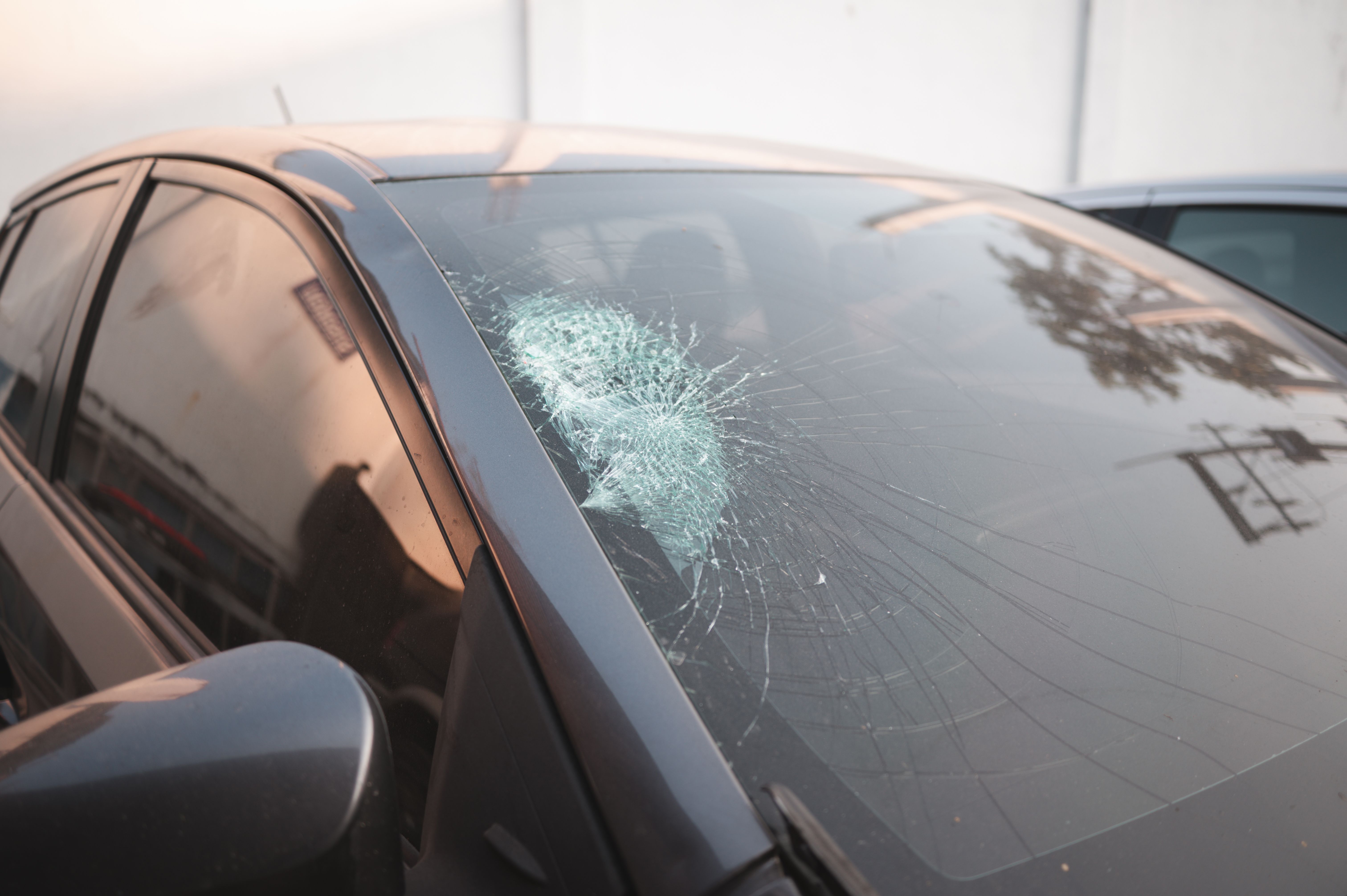 windshield protection