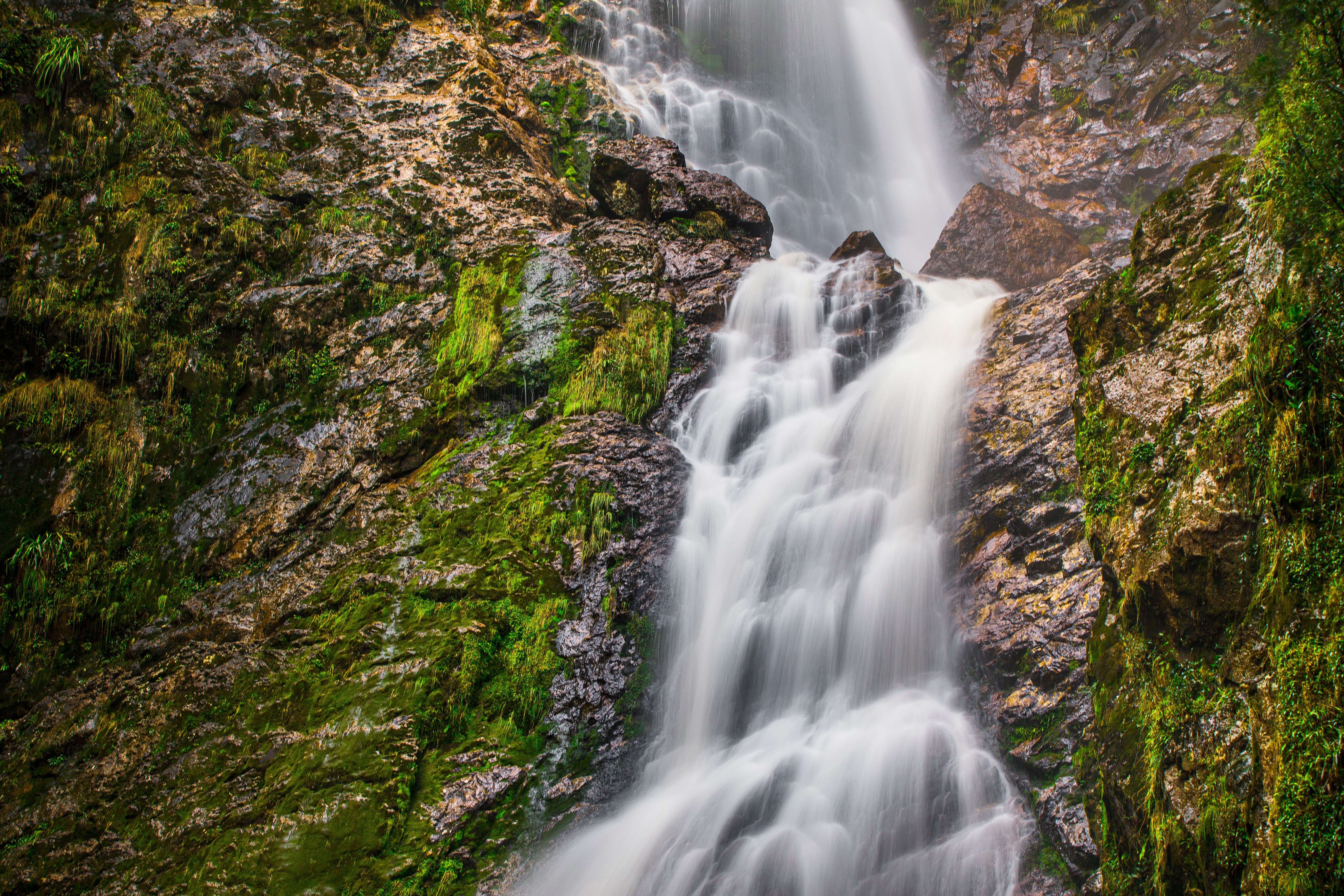 Powerful flowing waterfall with moss and dense green rainforest environment
