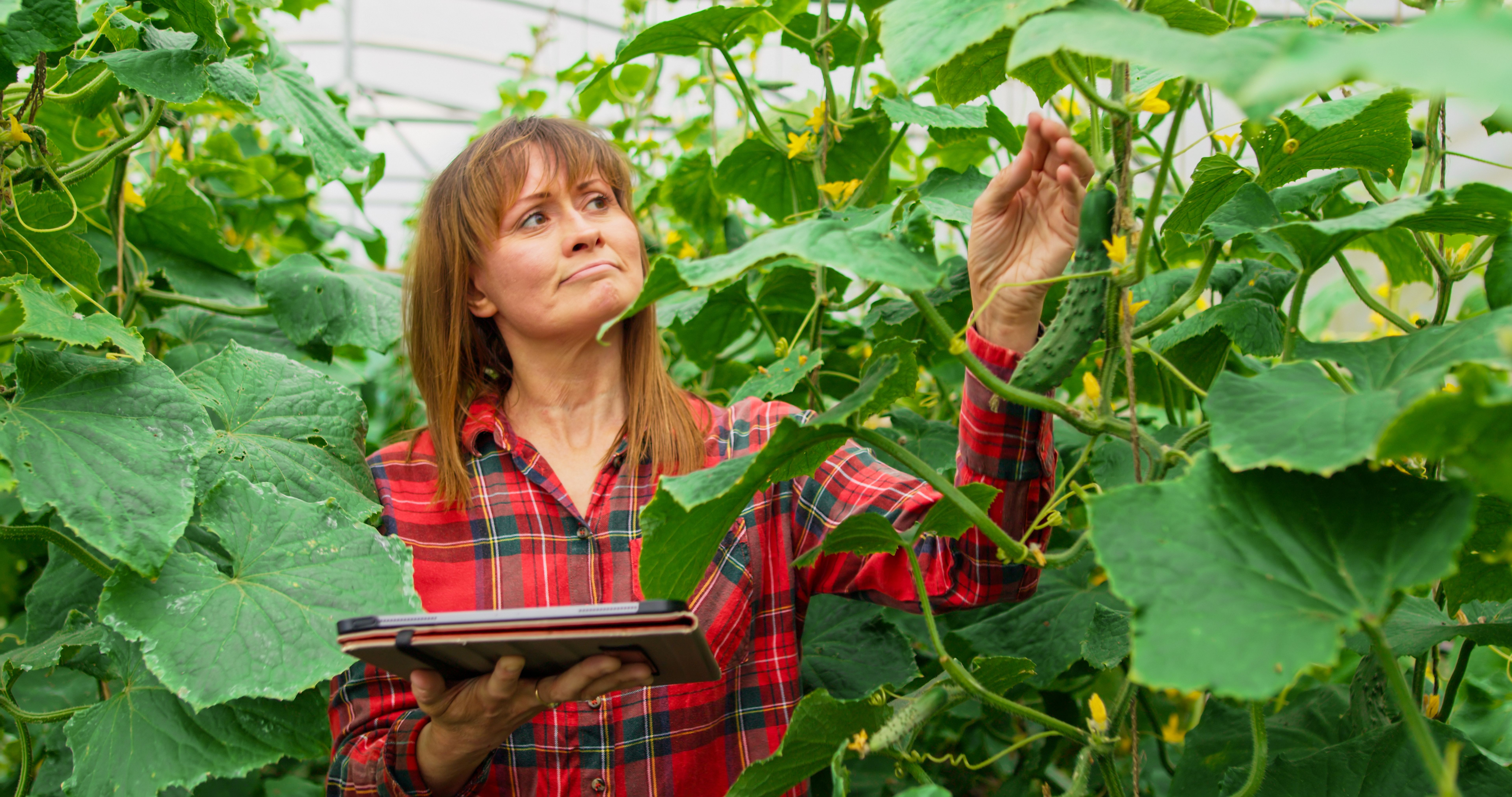 farm technology consultant