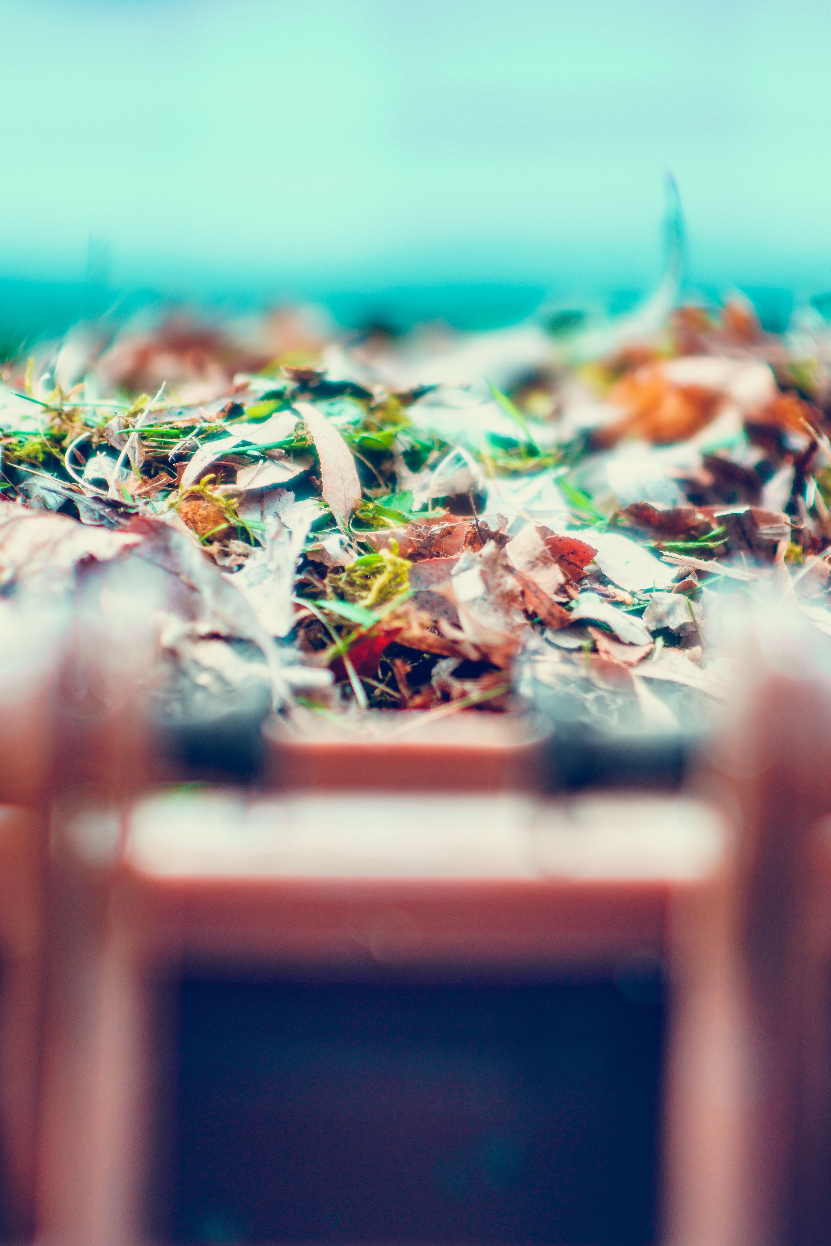 lawn care regulations