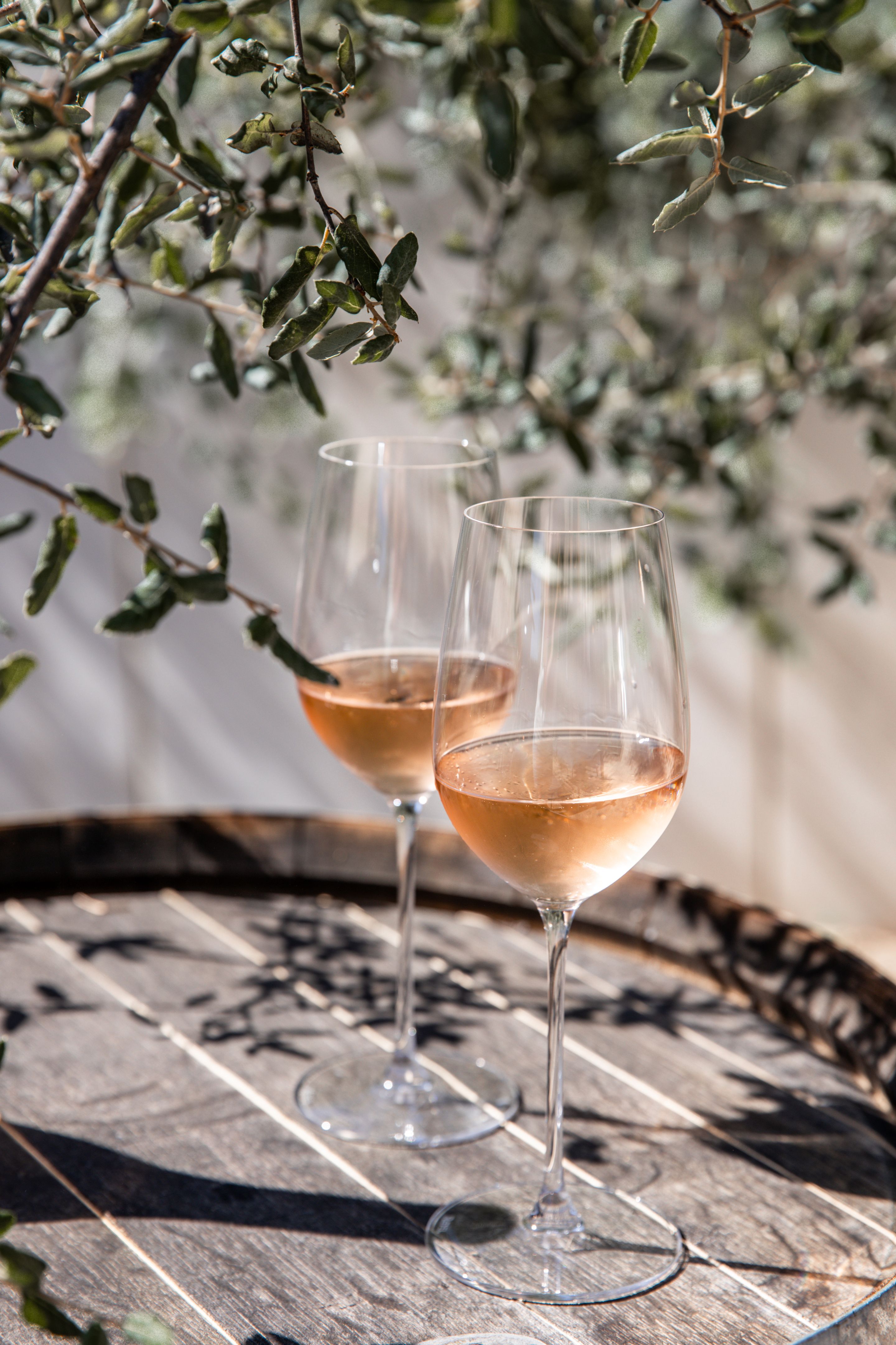 provence wine tasting