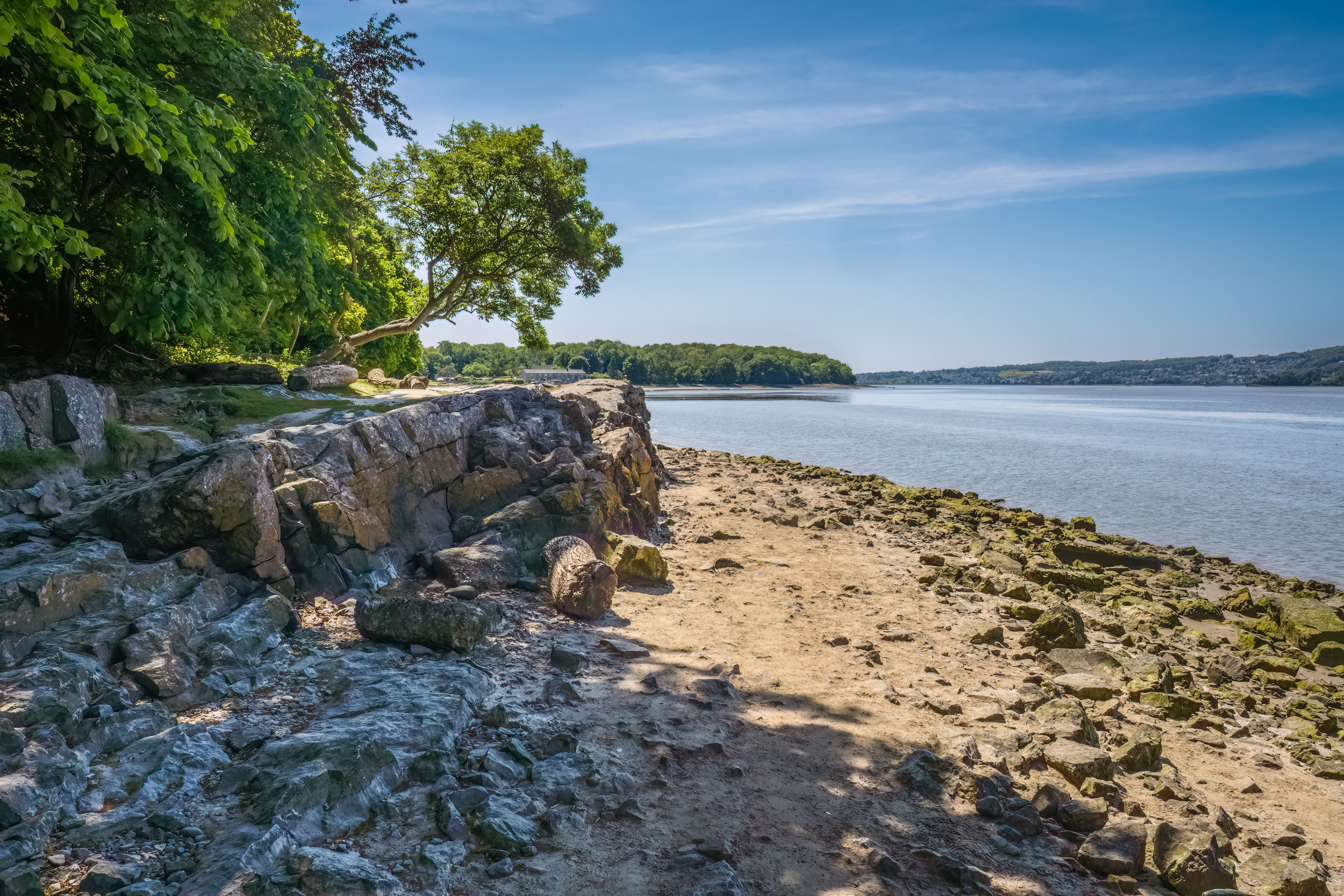 Silverdale landscape