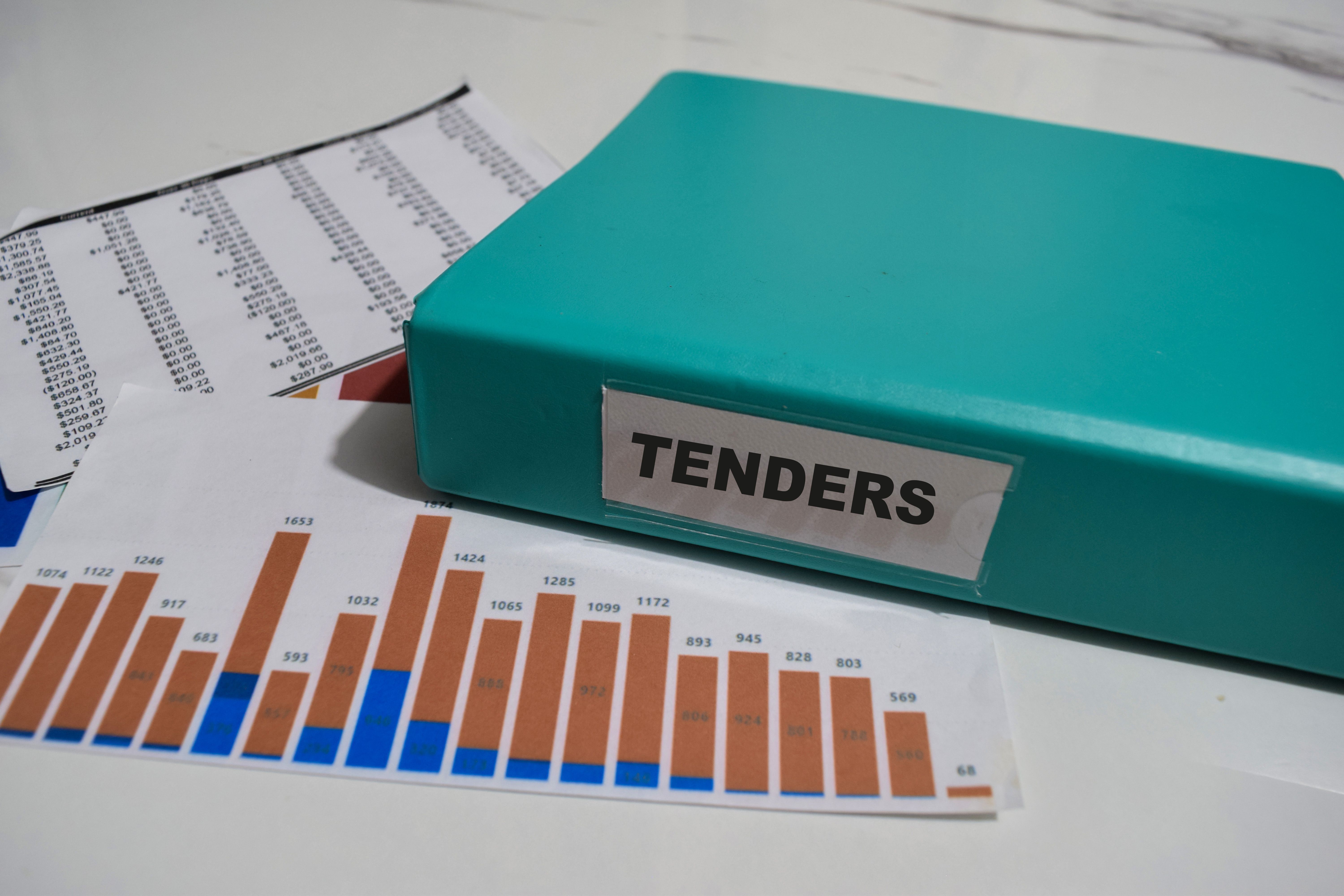 government tender process