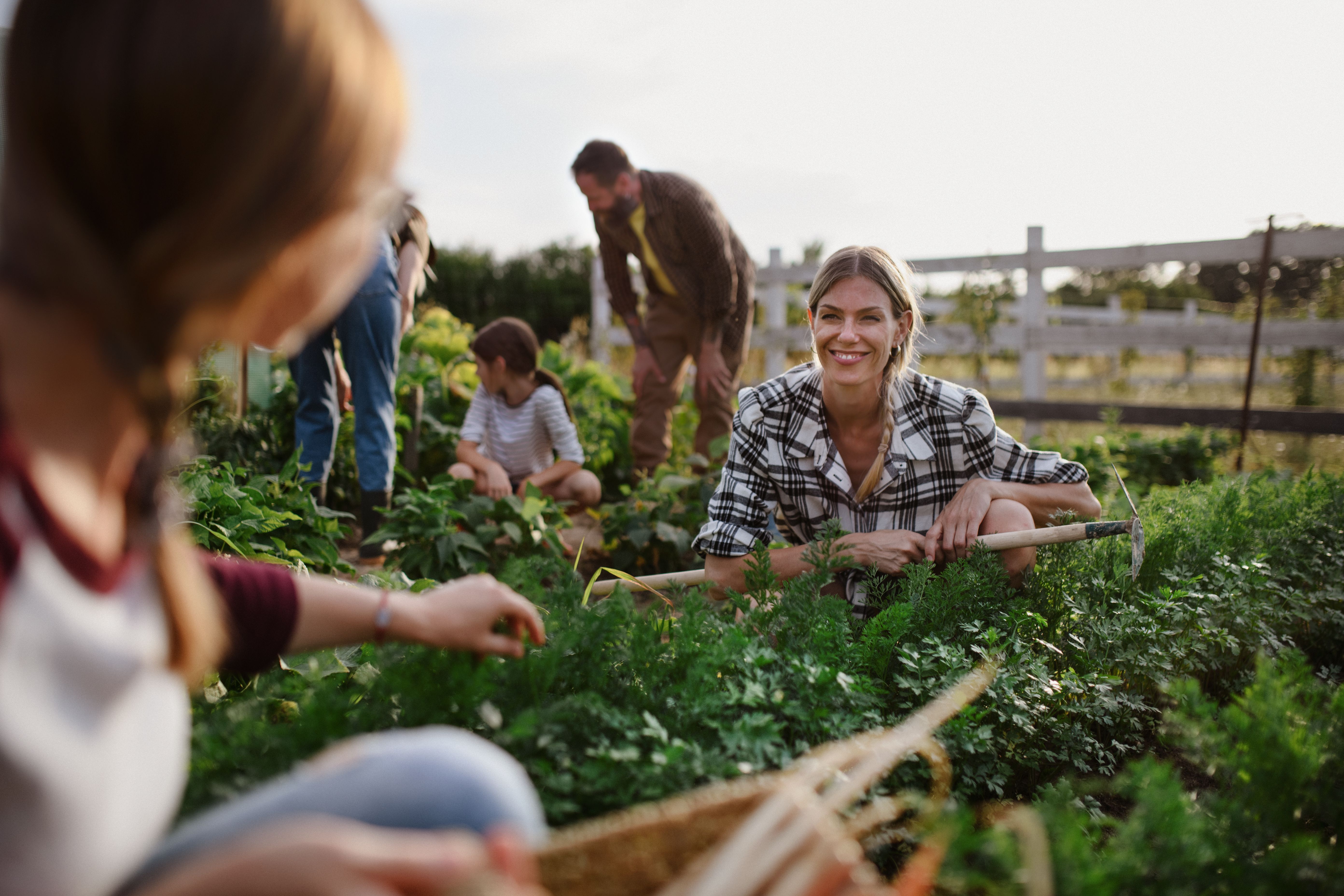 community farm