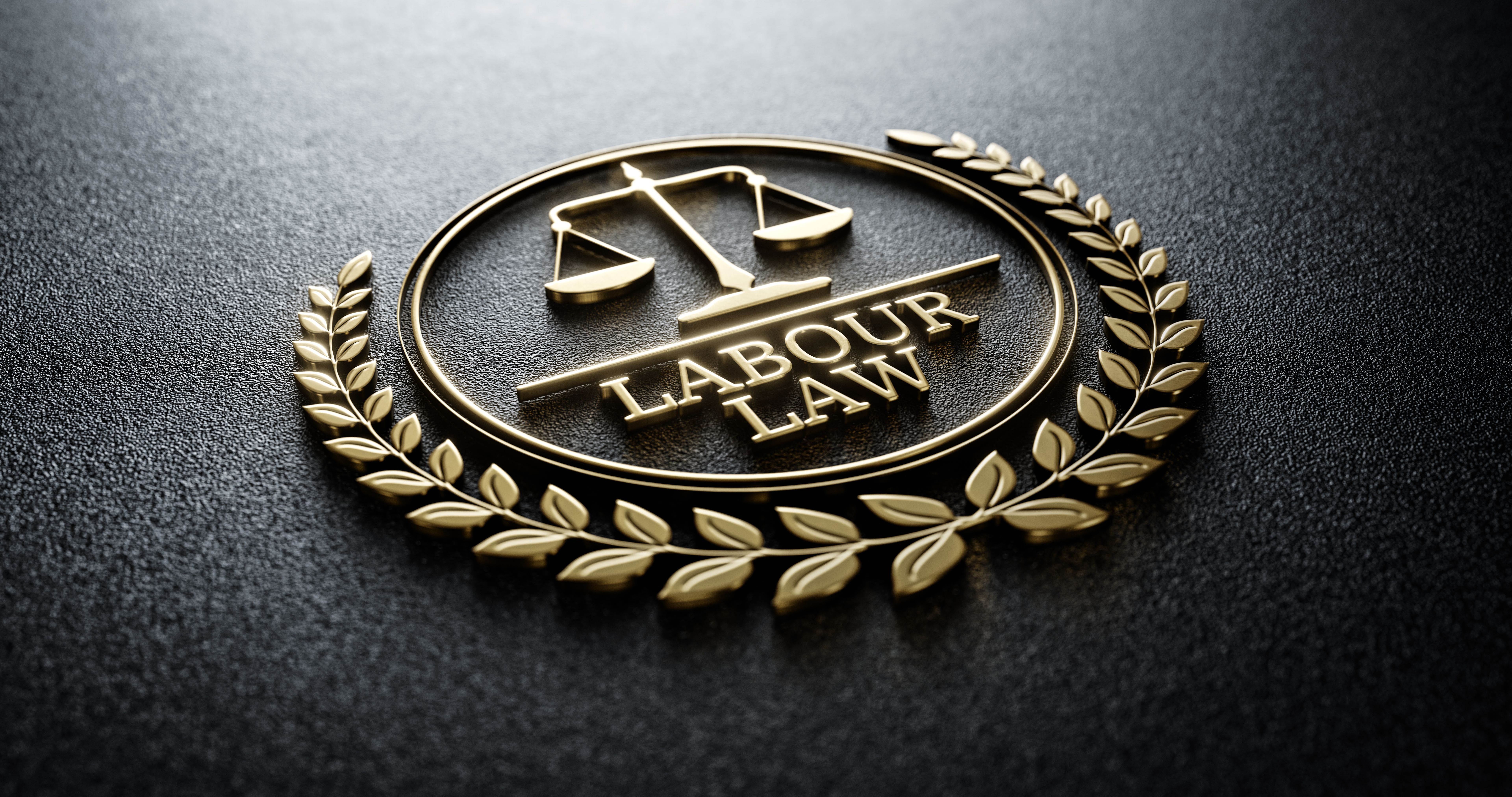 dutch employment law