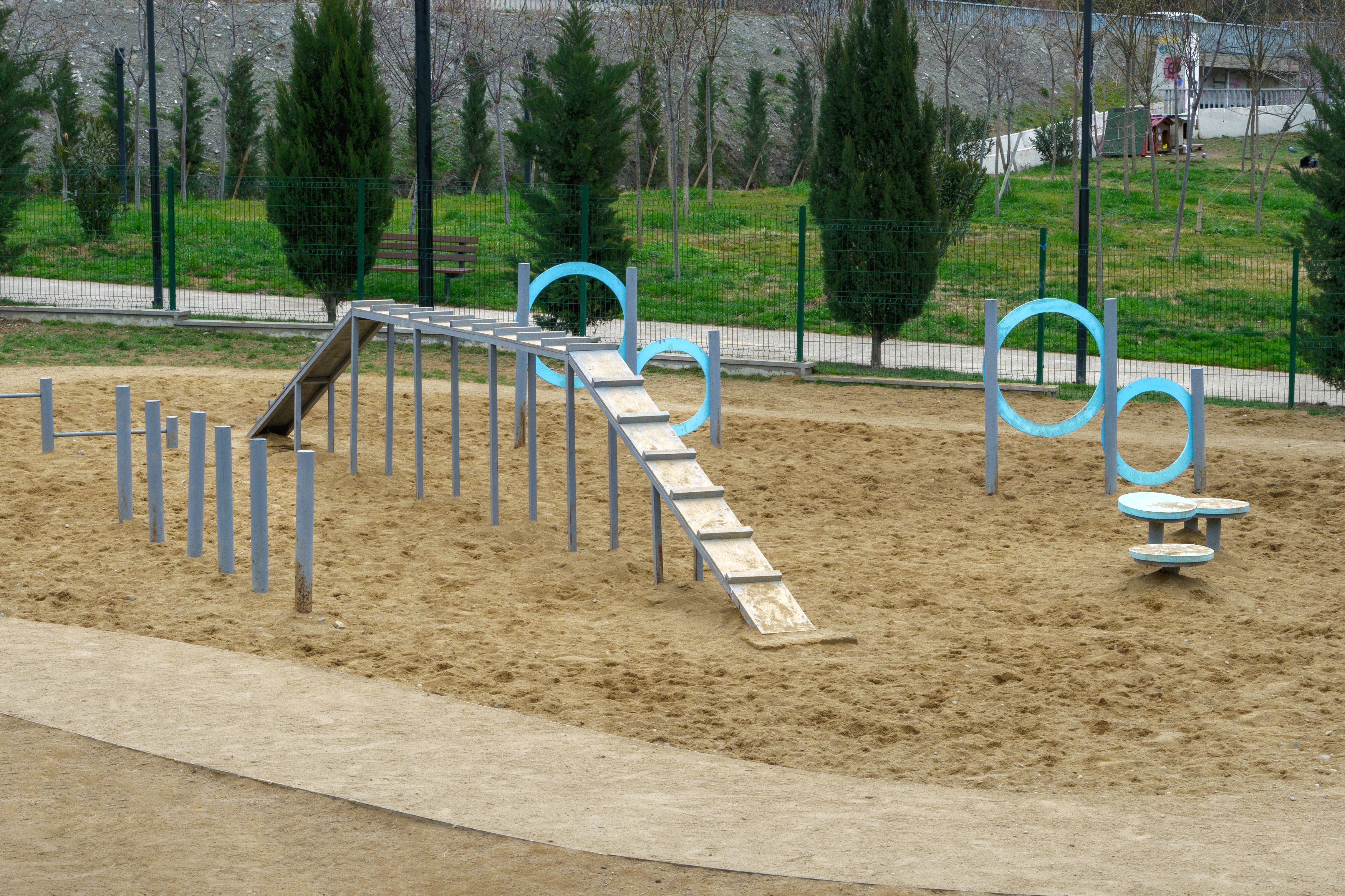 dog playground