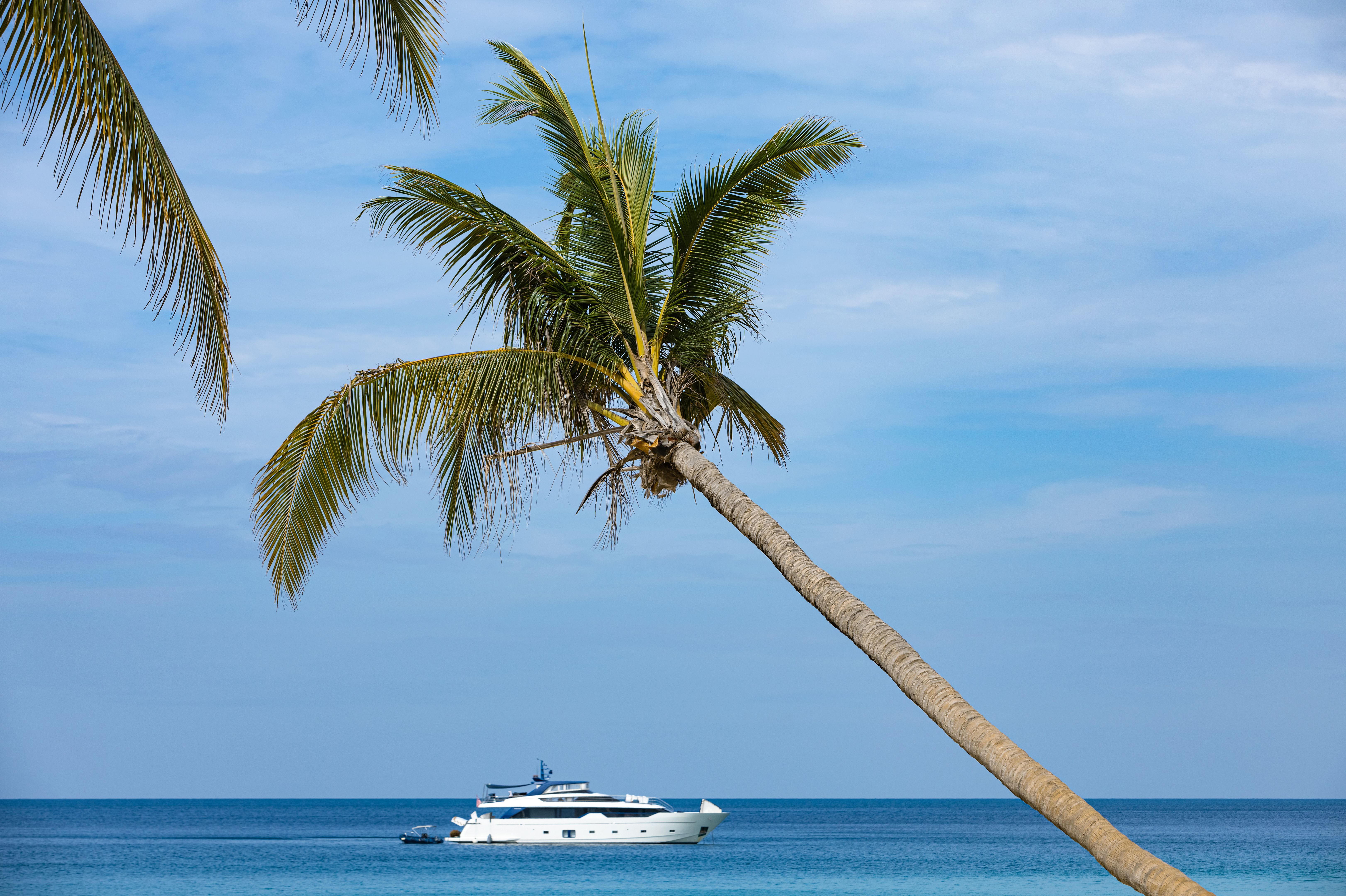 tropical island business