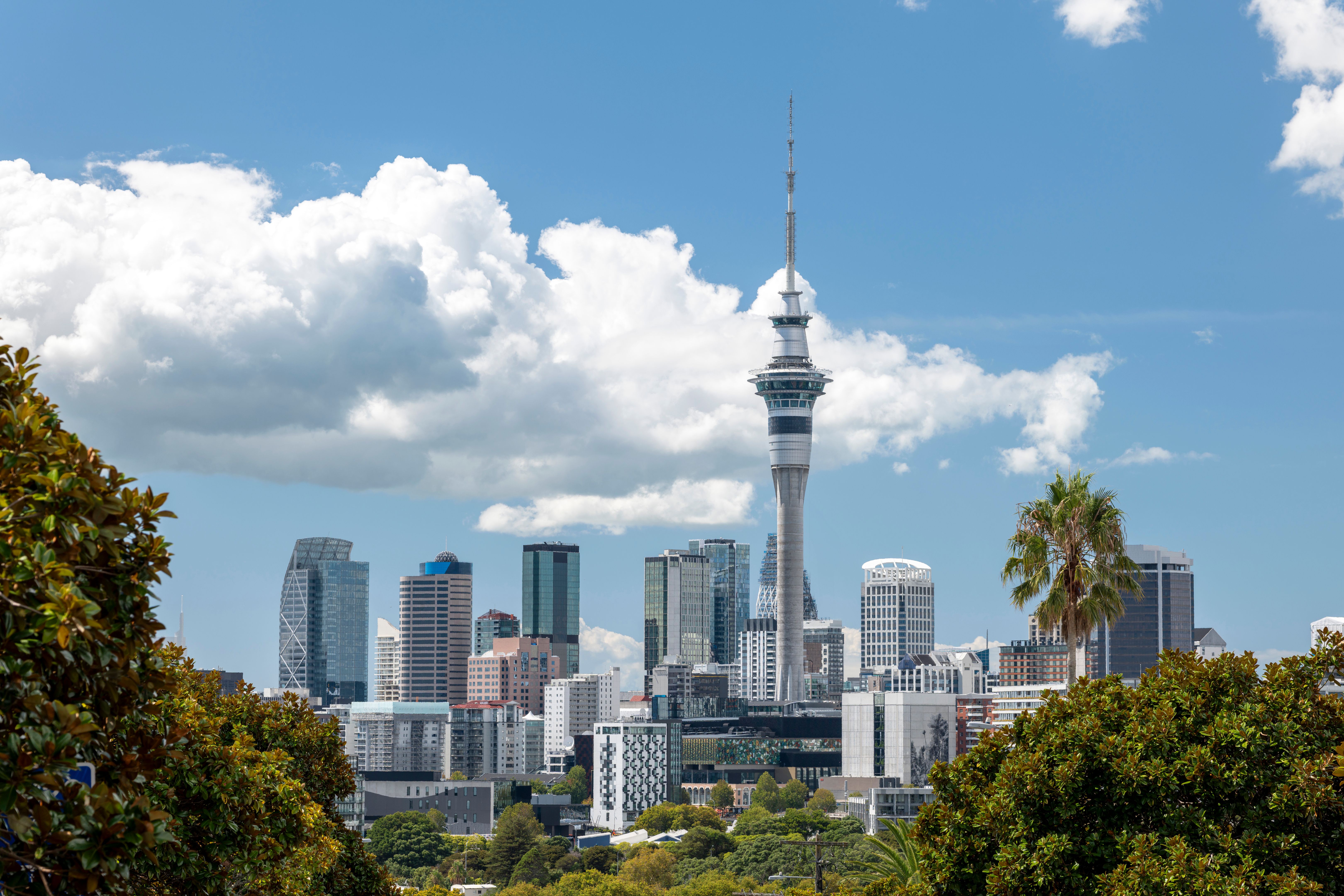 auckland skyline