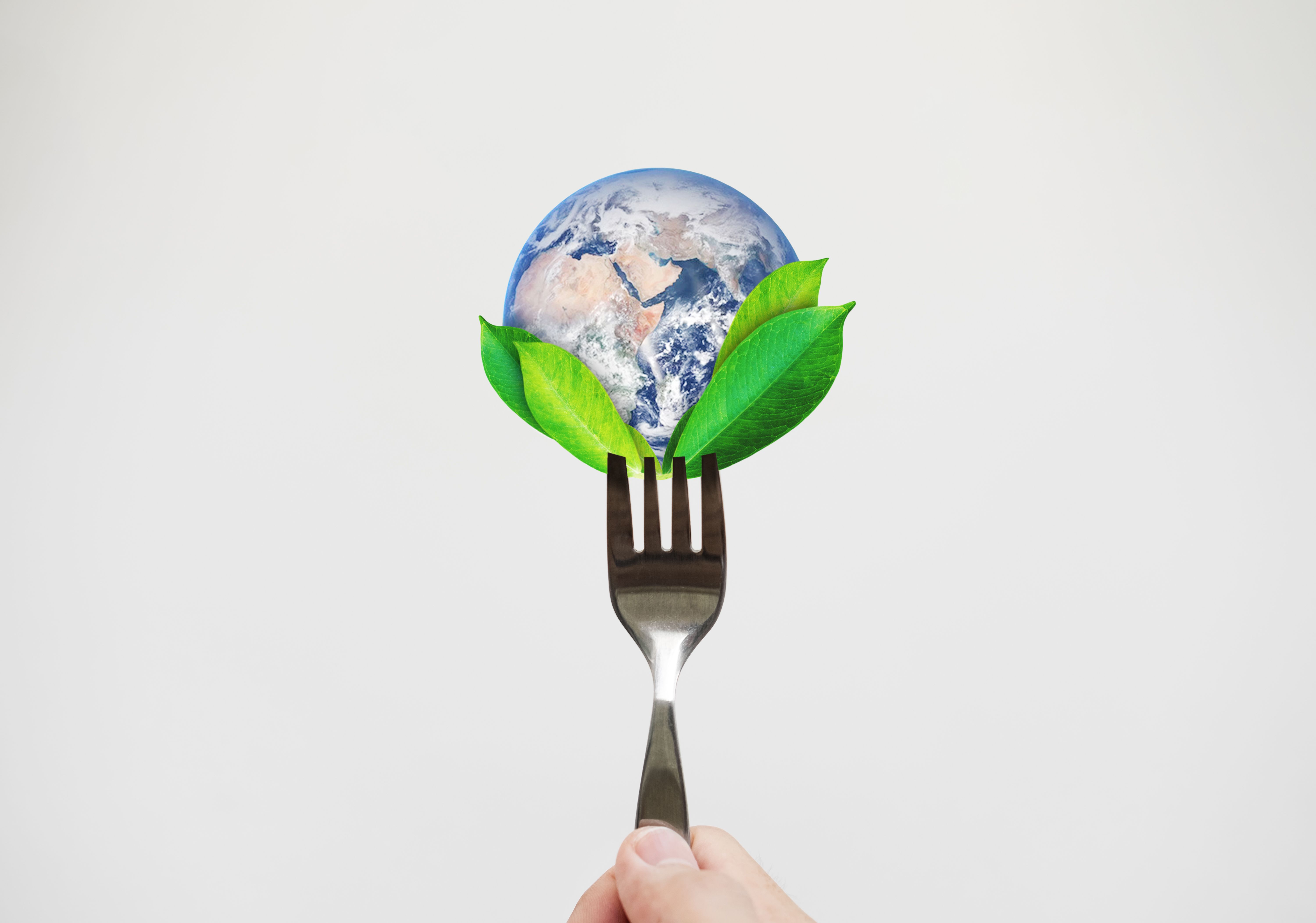 sustainable eating