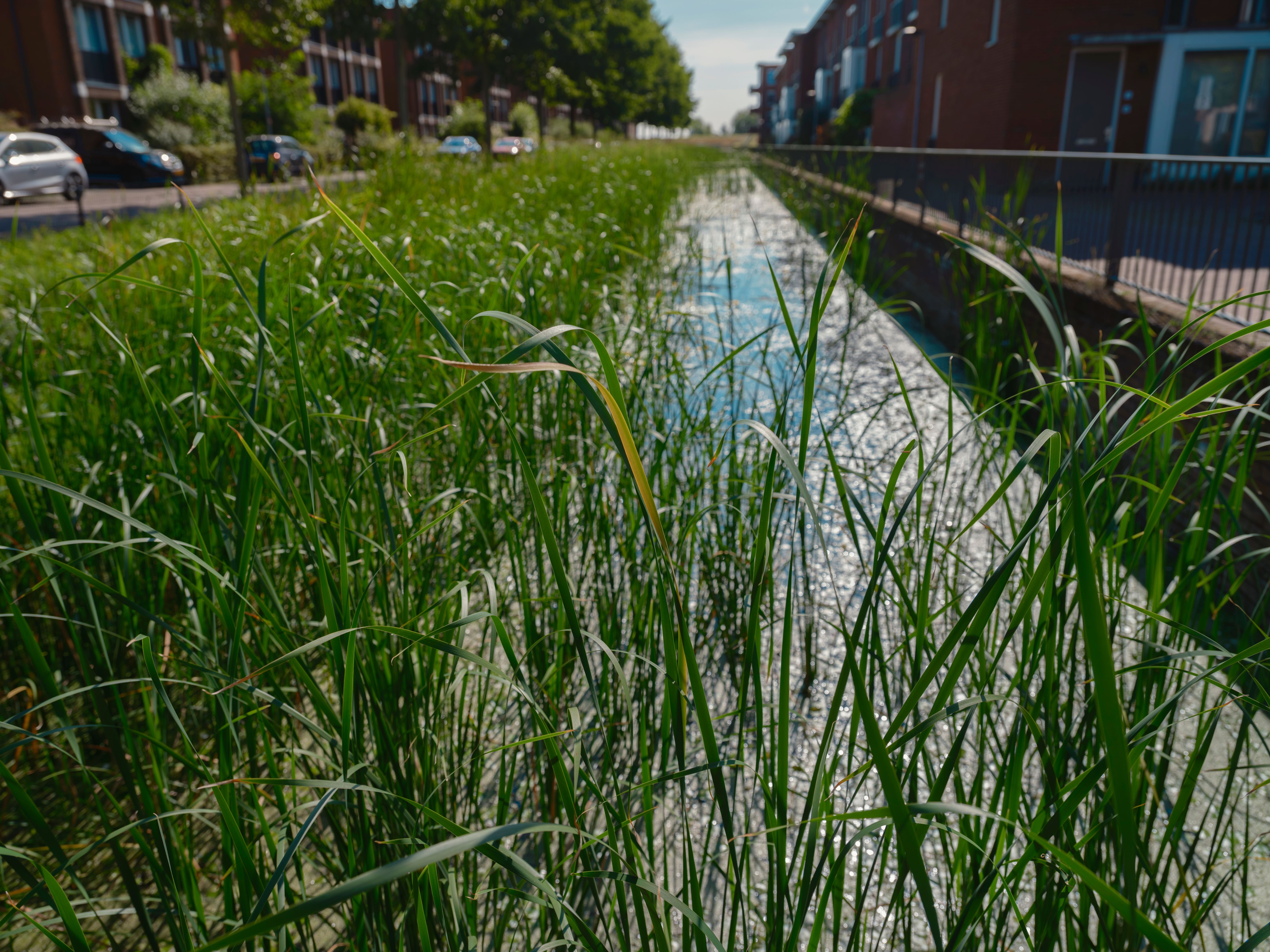 urban stormwater management