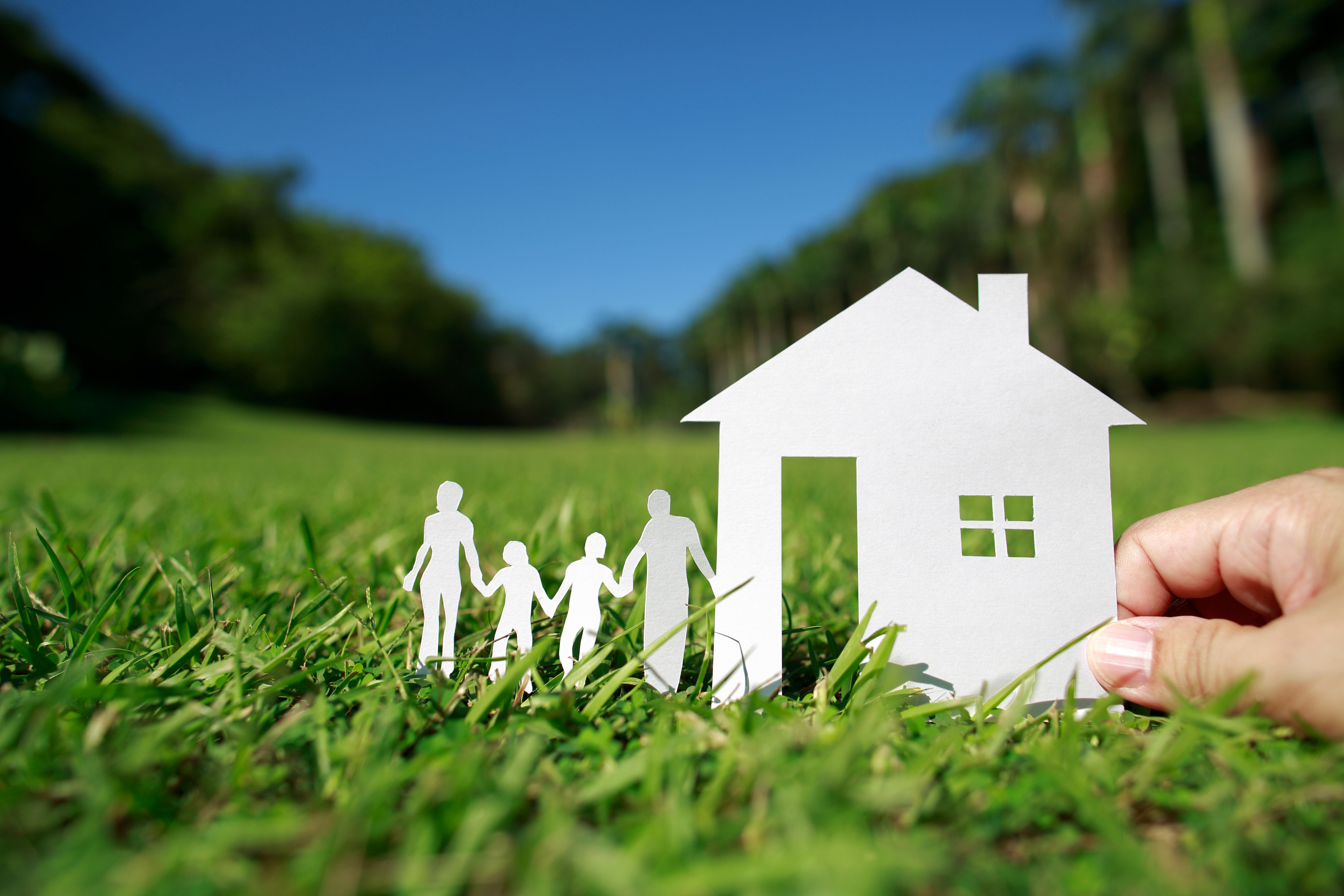 vegetable garden layout