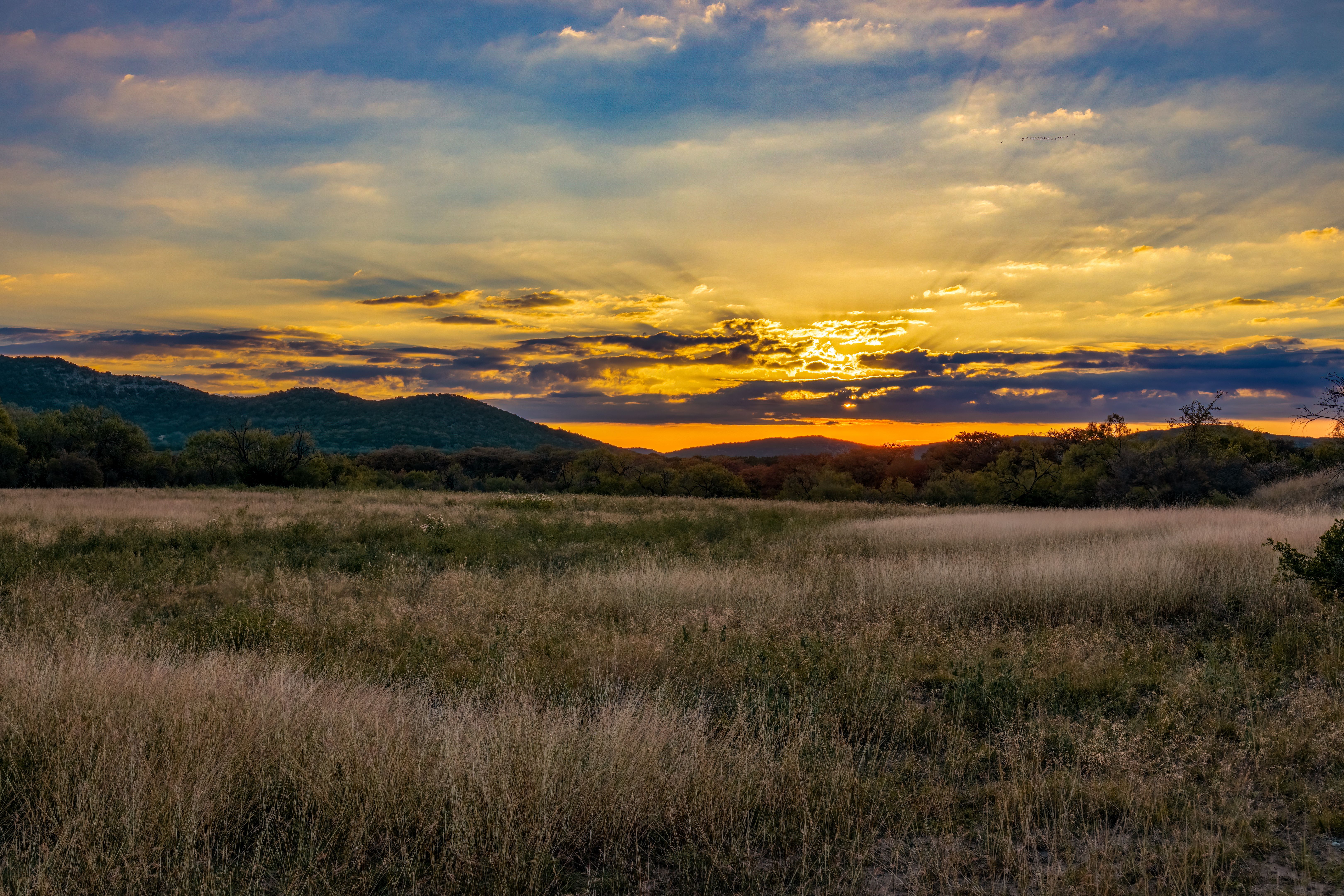 hill country landscape